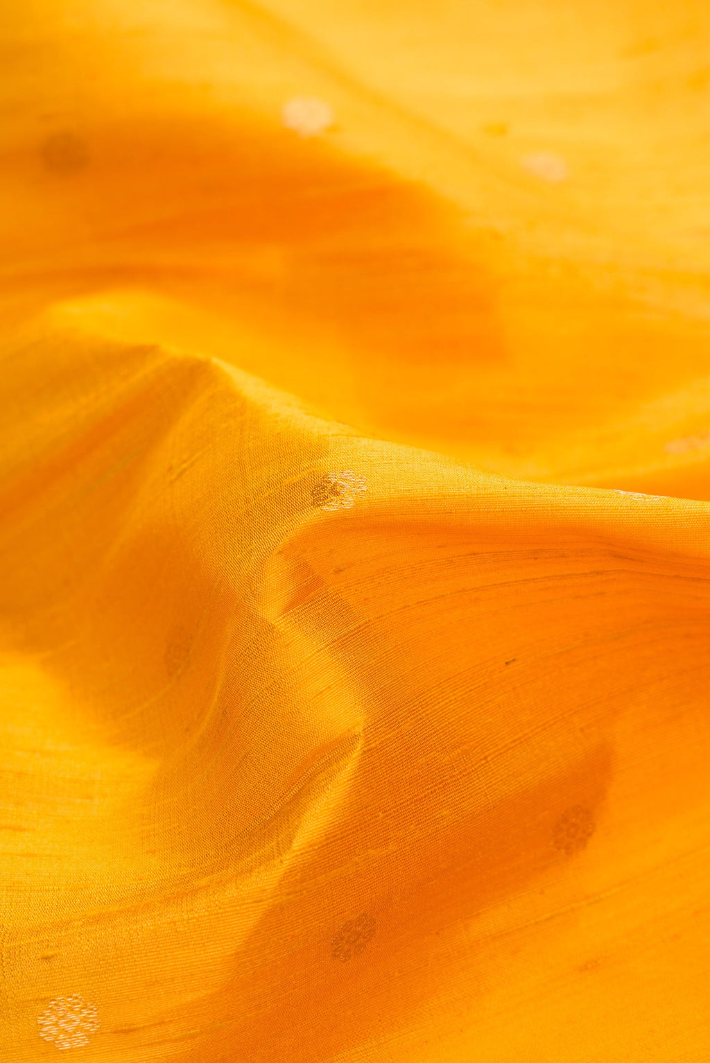 Close up of Mustard Dual Tone Raw Silk Saree with Zari Butta on the body and Zari Border.  displaying folds