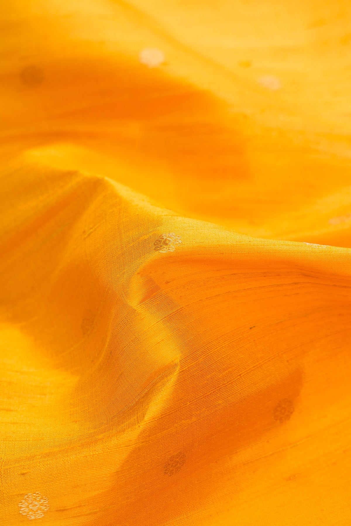 Close up of Mustard Dual Tone Raw Silk Saree with Zari Butta on the body and Zari Border.  displaying folds