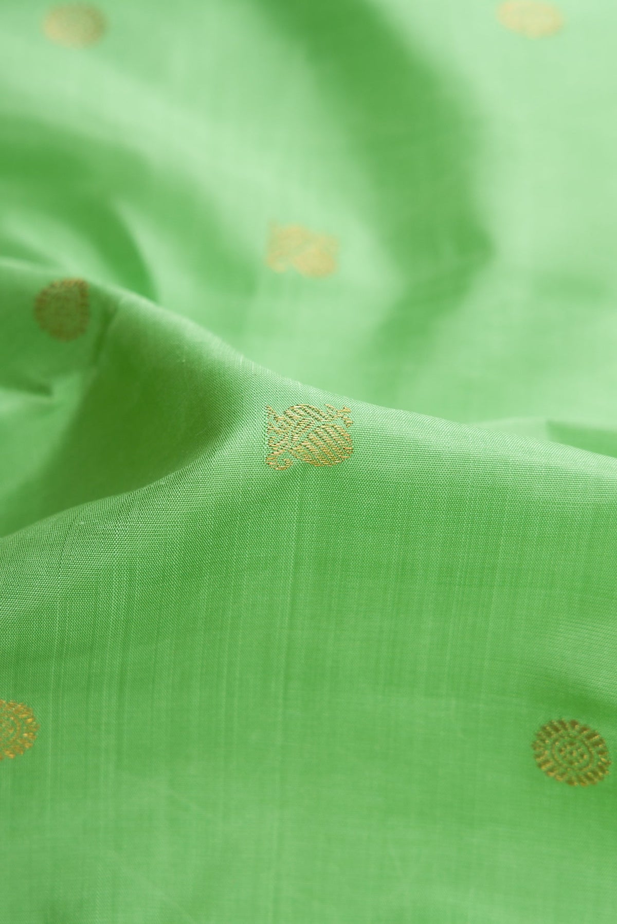 Close up of Light Green Dual Tone Kanjivaram Silk Saree with Zari Butta on the body and Zari Border.  displaying folds