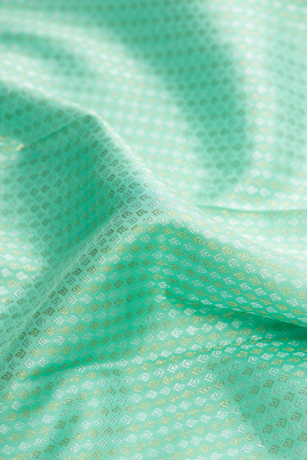 Close up of Light Green Dual Tone Kanjivaram Silk Saree with Zari Brocade on the body and Zari Border.  displaying folds