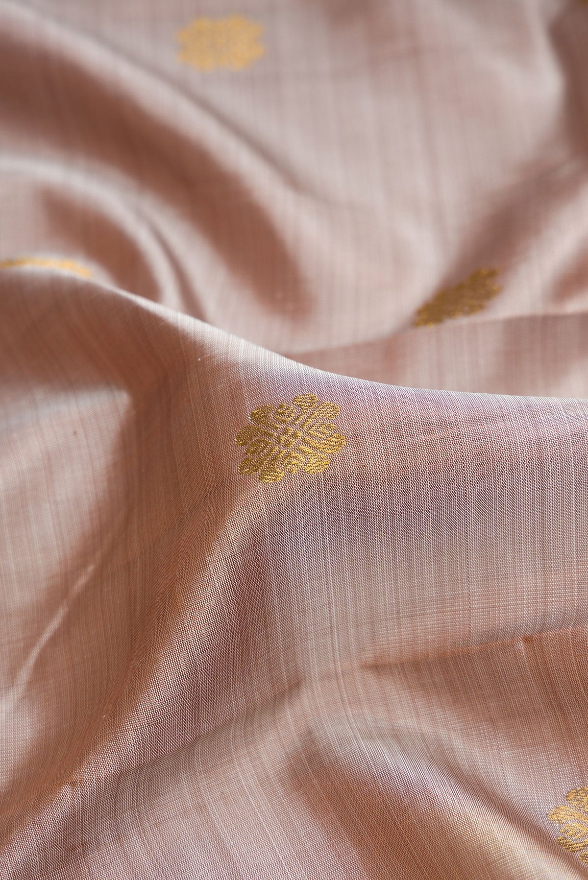 Close up of Dark Beige Dual Tone Kanjivaram Silk Saree with Zari Butta on the body and Zari Border.  displaying folds
