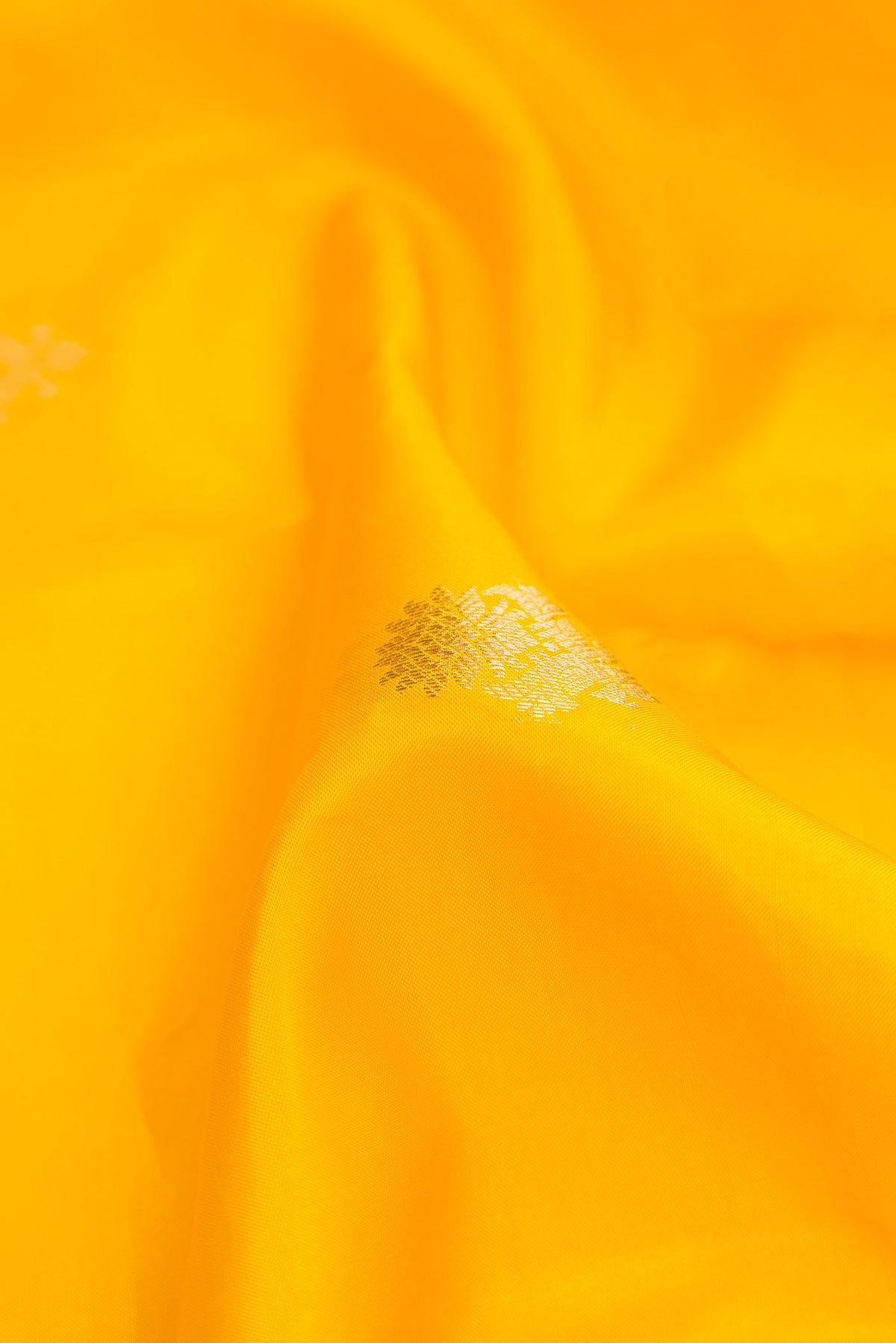Close up of Yellow Dual Tone Kanchipuram Silk Saree with Zari Butta on the body and Zari Border.  displaying folds
