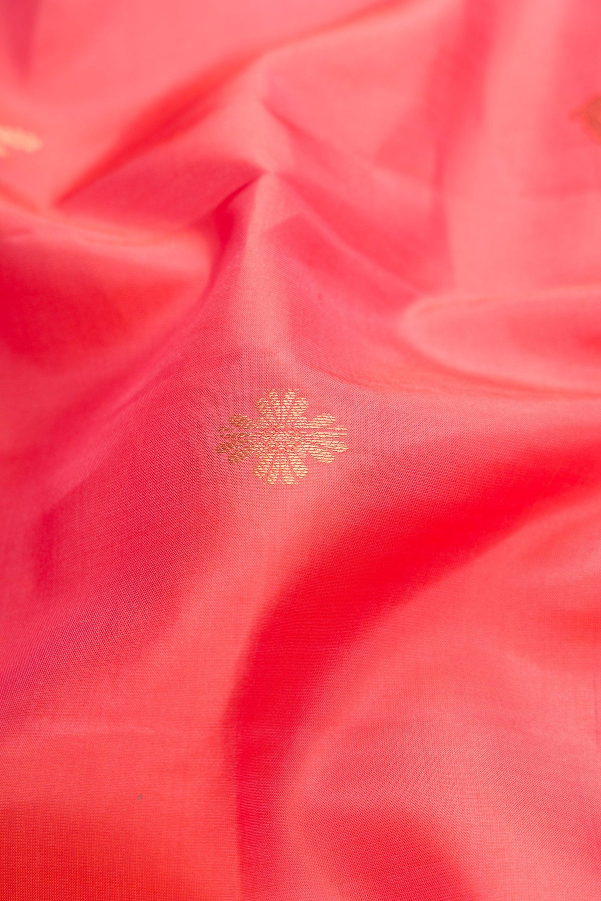 Close up of Pink Dual Tone Kanchipuram Silk Saree with Zari Butta on the body and Zari Border.  displaying folds