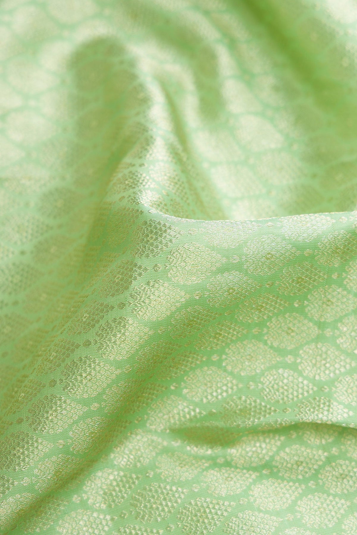 Close up of Pista Green Dual Tone Kanchipuram Silk Saree with Zari Brocade on the body and Zari Border.  displaying folds