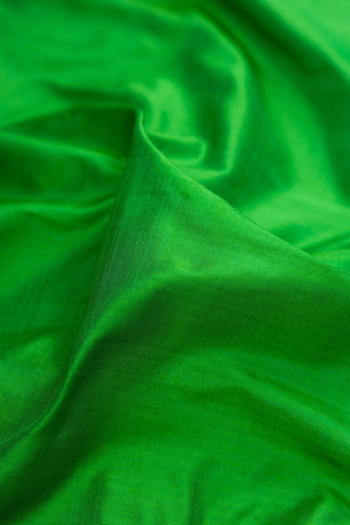 Close up of Green Dual Tone Kanjivaram Silk Saree with Plain Body and Zari Border.  displaying folds