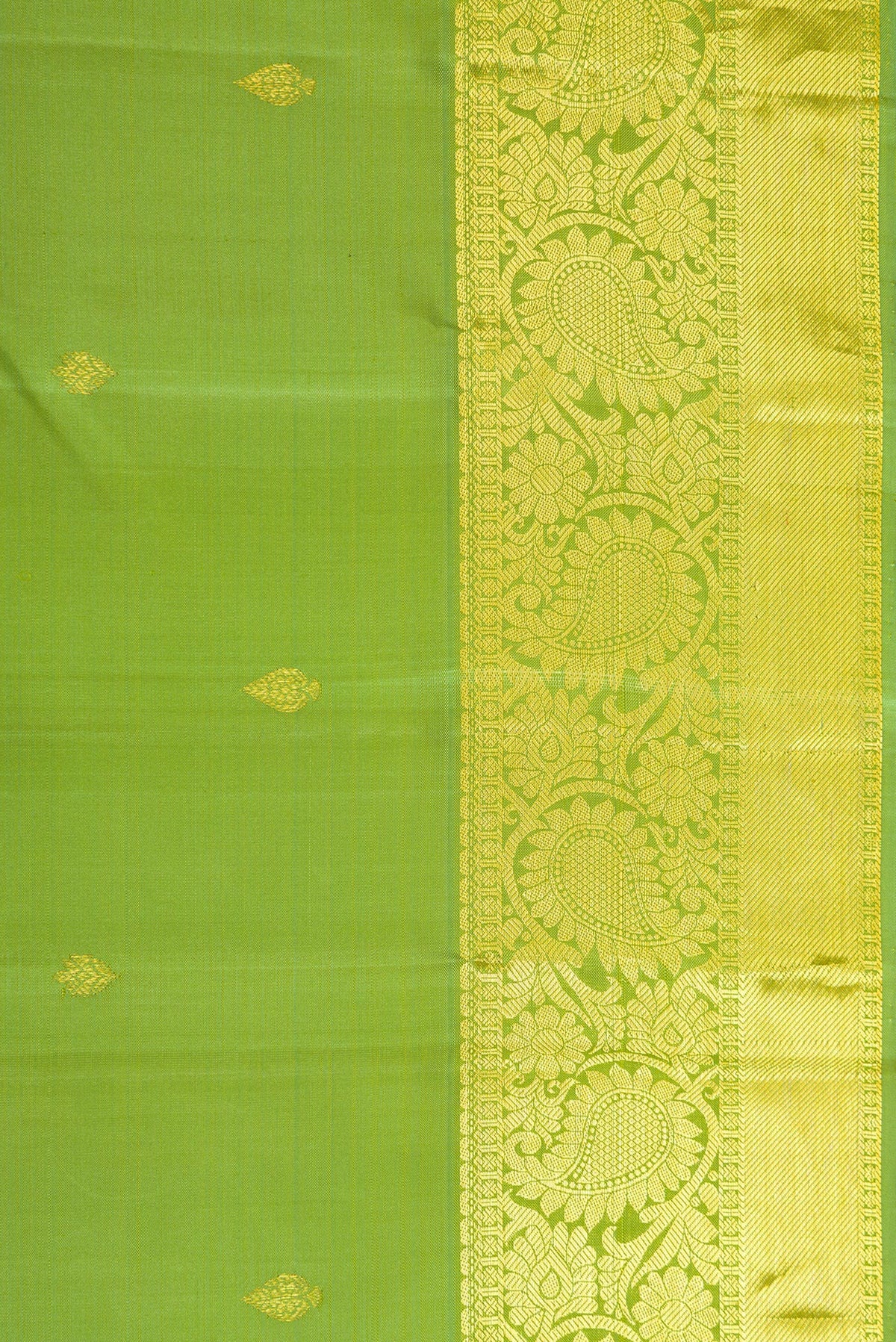 Border image of Light Green Dual Tone Kanjivaram Silk Saree with Zari Butta on the body and Zari Border. 