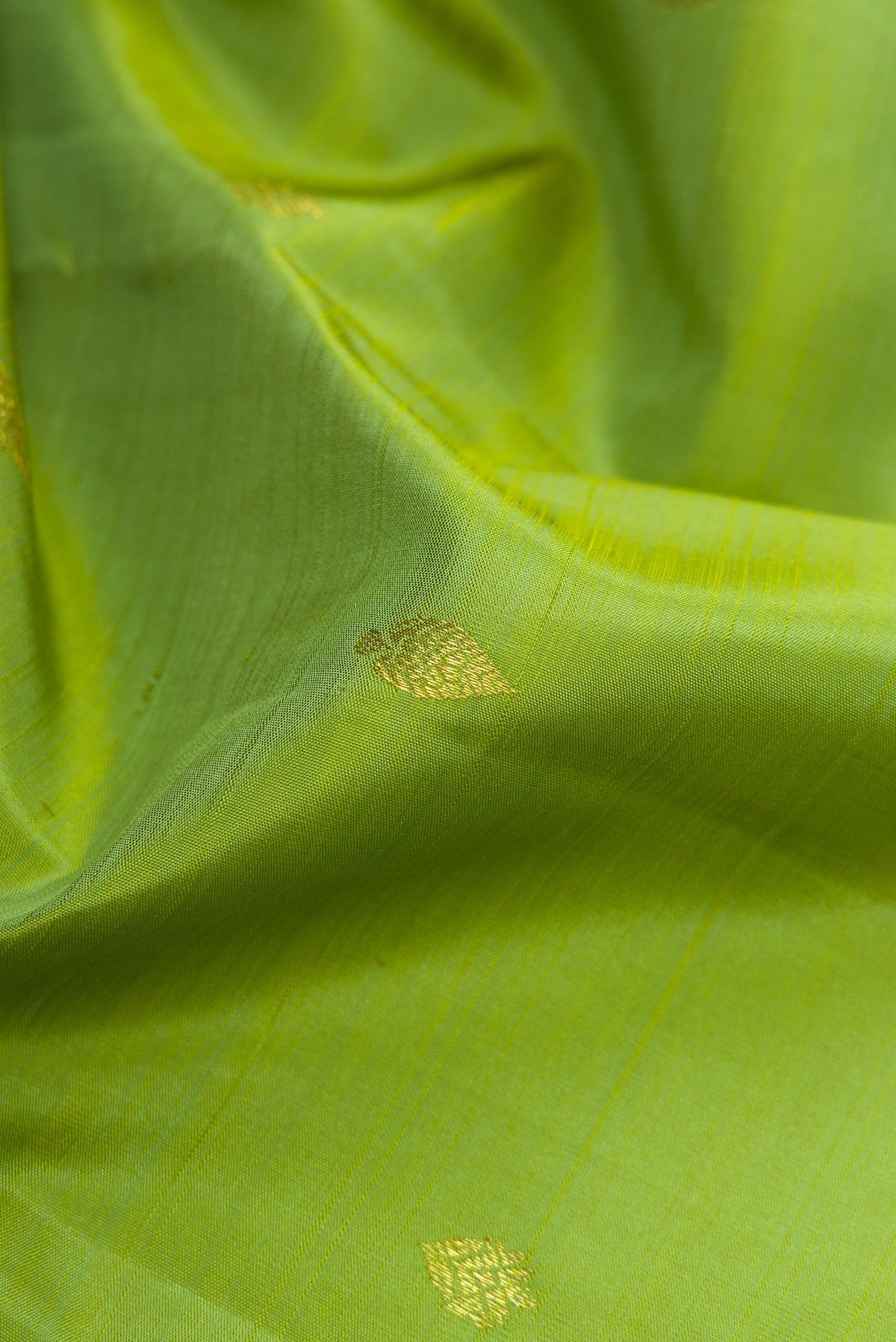 Close up of Light Green Dual Tone Kanjivaram Silk Saree with Zari Butta on the body and Zari Border.  displaying folds