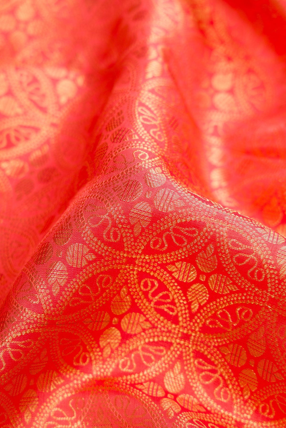 Close up of Coral Dual Tone Kanchipuram Silk Saree with Zari Brocade on the body and Zari Border.  displaying folds