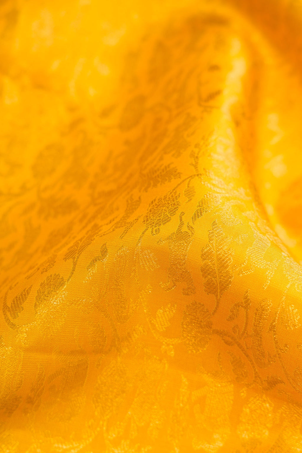 Close up of Yellow Kanchipuram Silk Saree with Zari Brocade on the body and Zari Border.  displaying folds