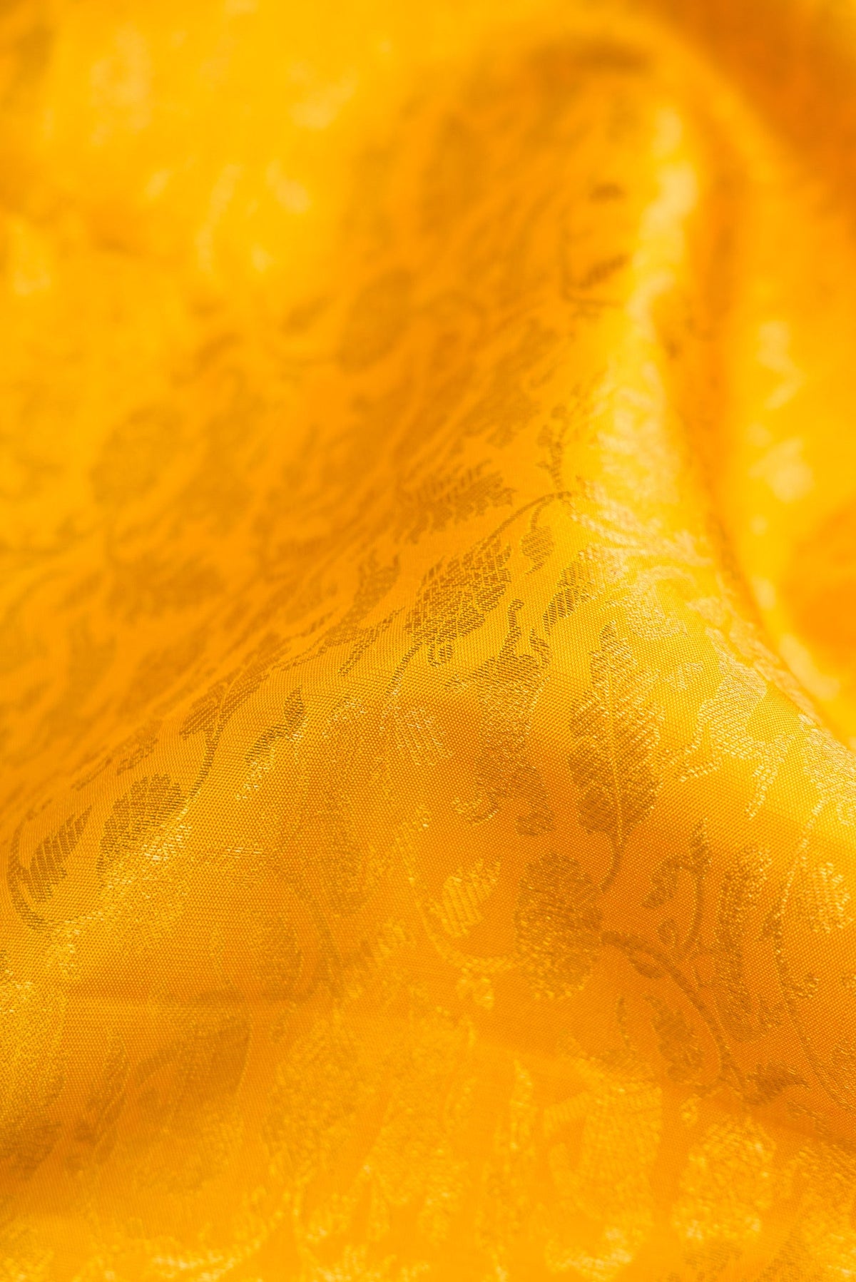 Close up of Yellow Kanchipuram Silk Saree with Zari Brocade on the body and Zari Border.  displaying folds