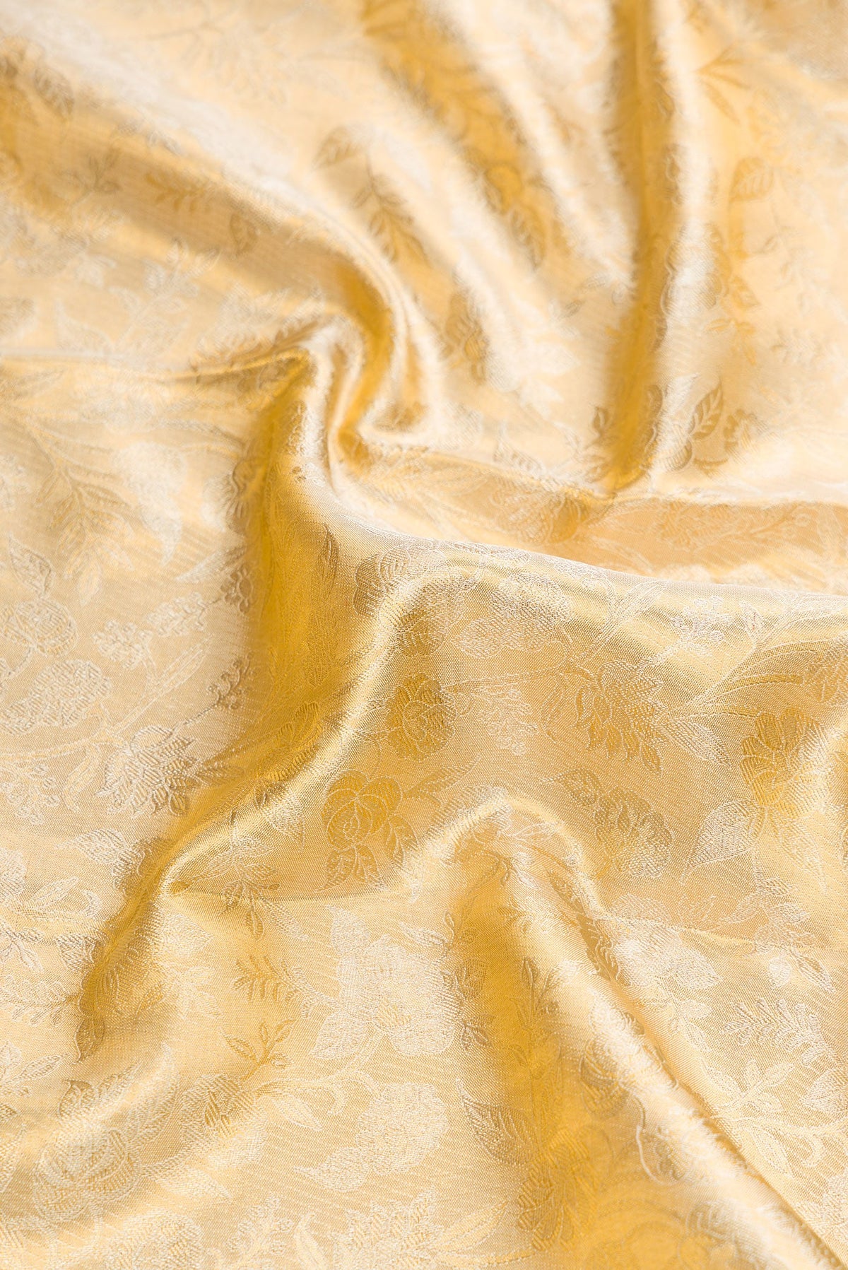 Close up of Gold Dual Tone Kanjivaram Tissue Silk Saree with Zari Butta on the body and Zari Border.  displaying folds