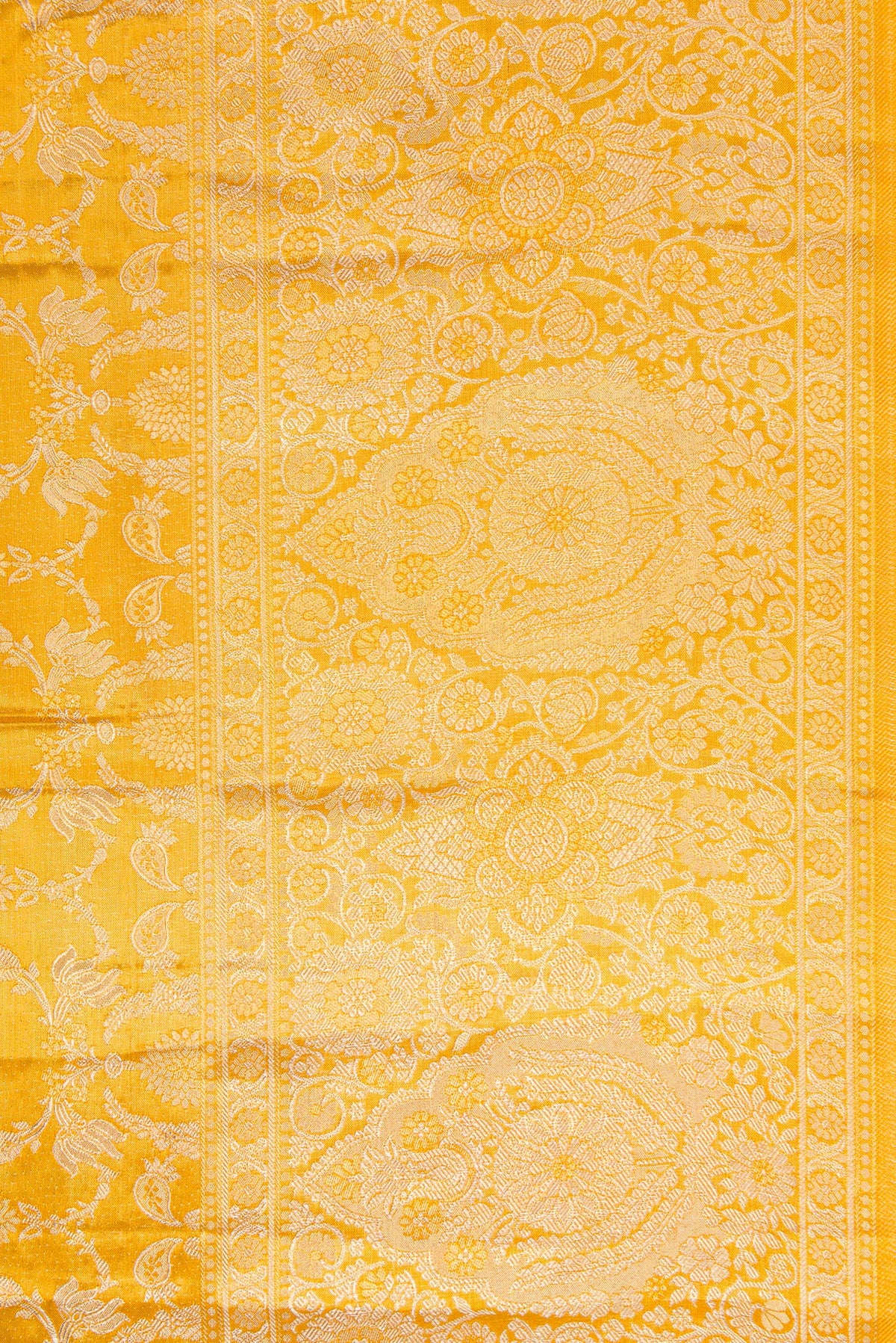 Border image of Gold Dual Tone Kanjivaram Tissue Silk Saree with Zari Brocade on the body and Zari Border. 