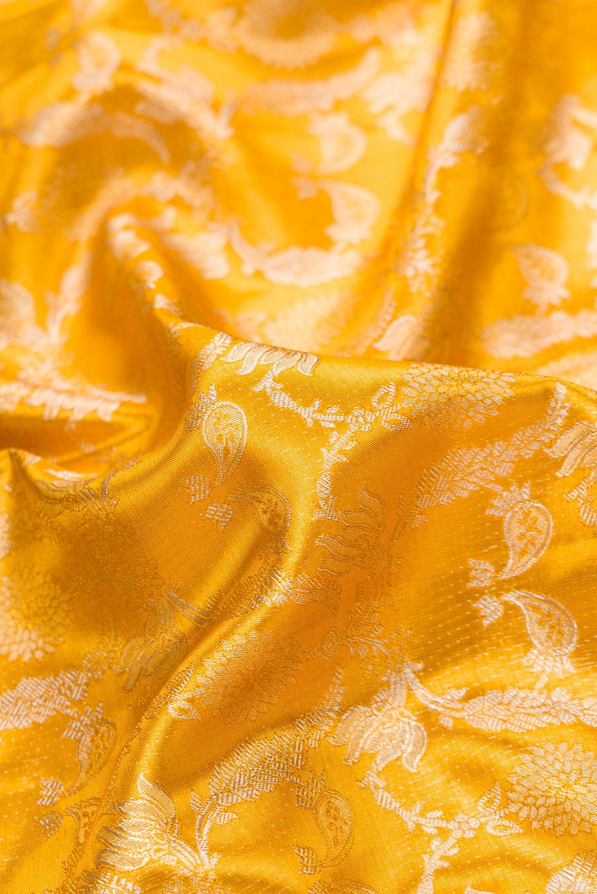 Close up of Gold Dual Tone Kanjivaram Tissue Silk Saree with Zari Brocade on the body and Zari Border.  displaying folds