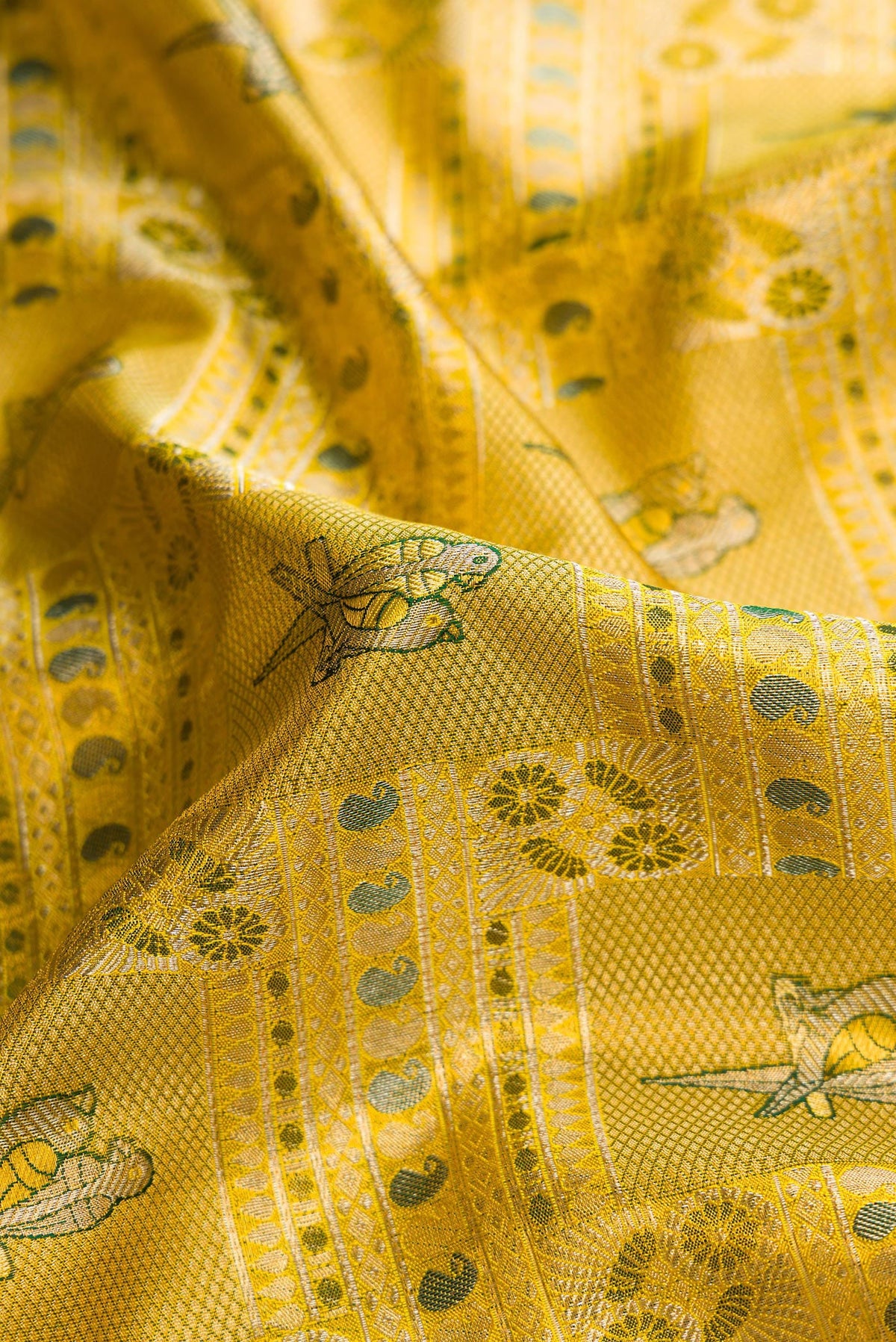 Close up of Gold Dual Tone Kanjivaram Tissue Silk Saree with Zari Brocade on the body and Zari Border.  displaying folds