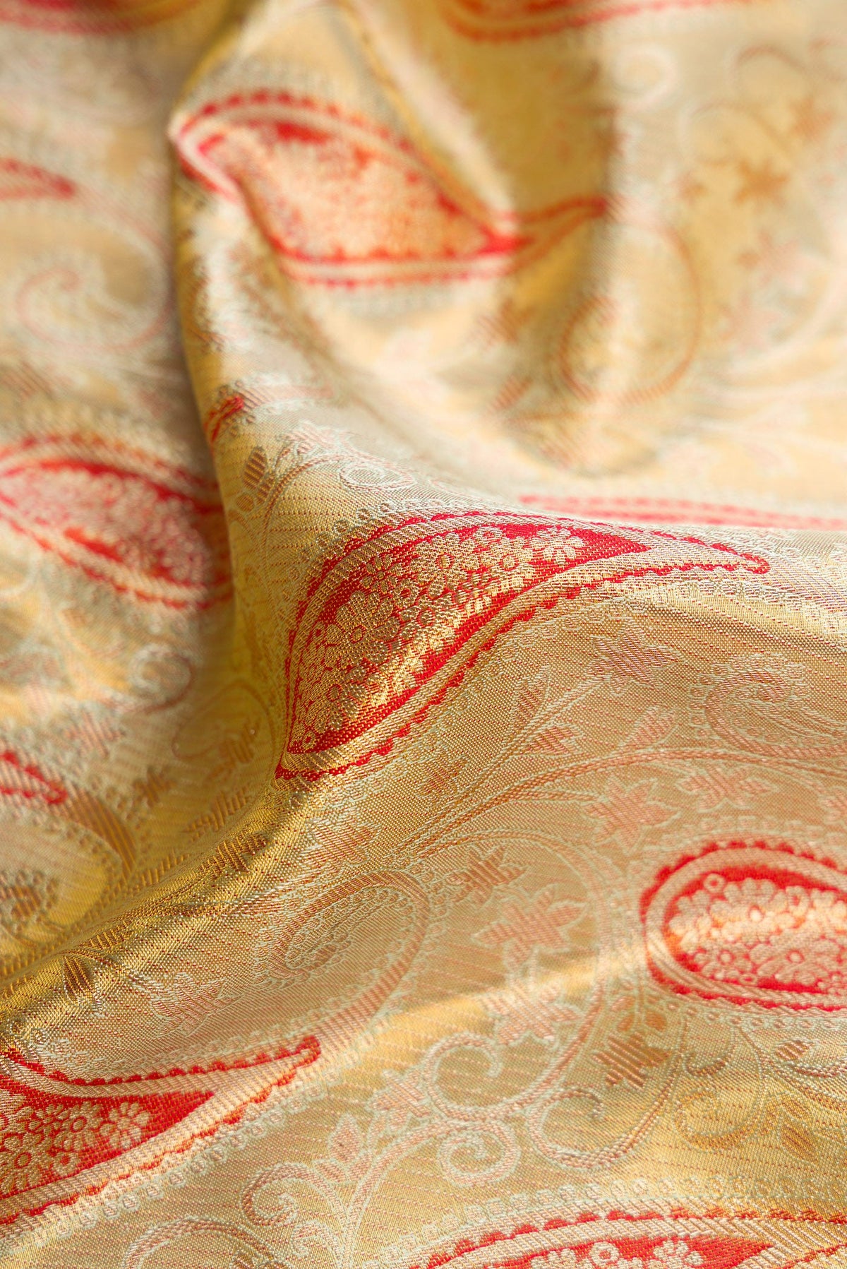 Close up of Pista Green Dual Tone Kanjivaram Tissue Silk Saree with Zari Brocade on the body and Zari Border.  displaying folds