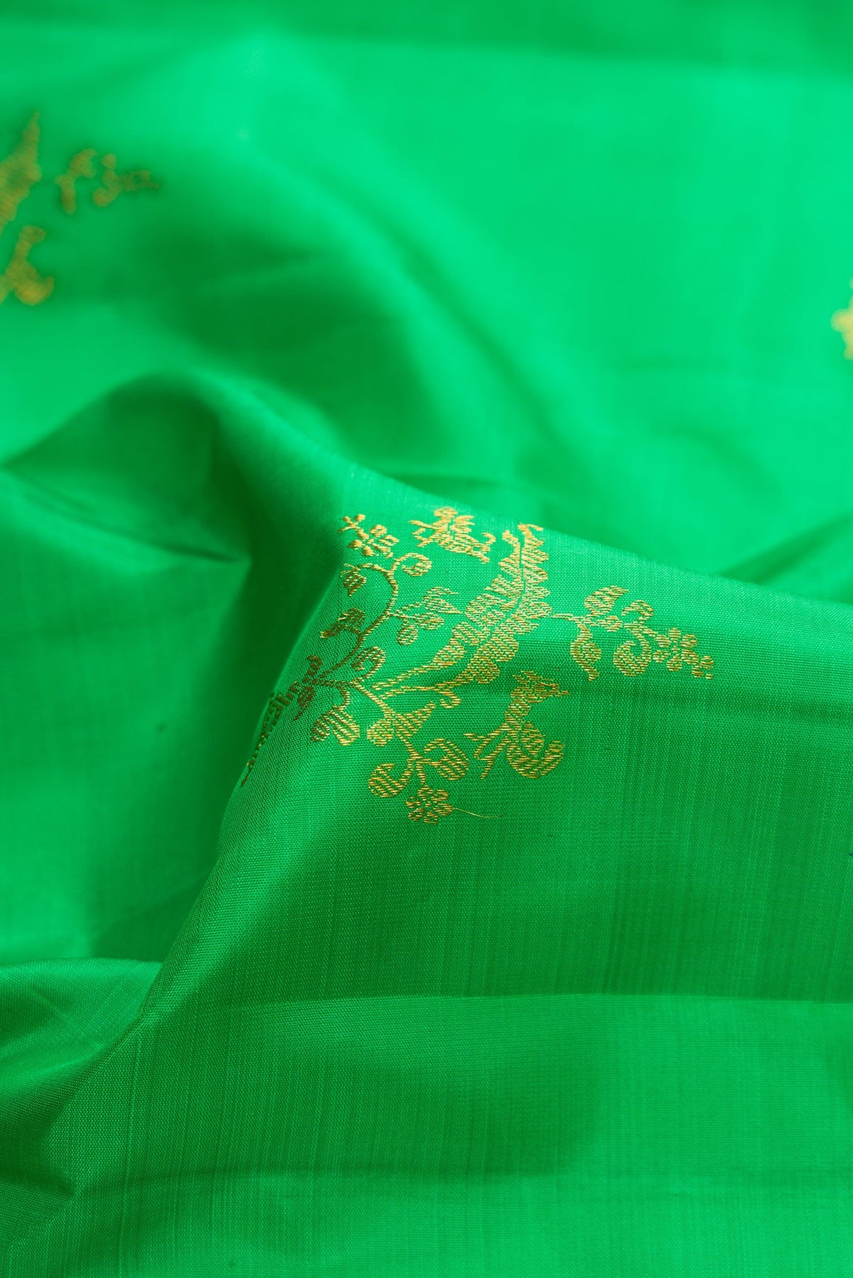 Close up of Green Dual Tone Kanchipuram Silk Saree with Zari Butta on the body and Zari Border.  displaying folds