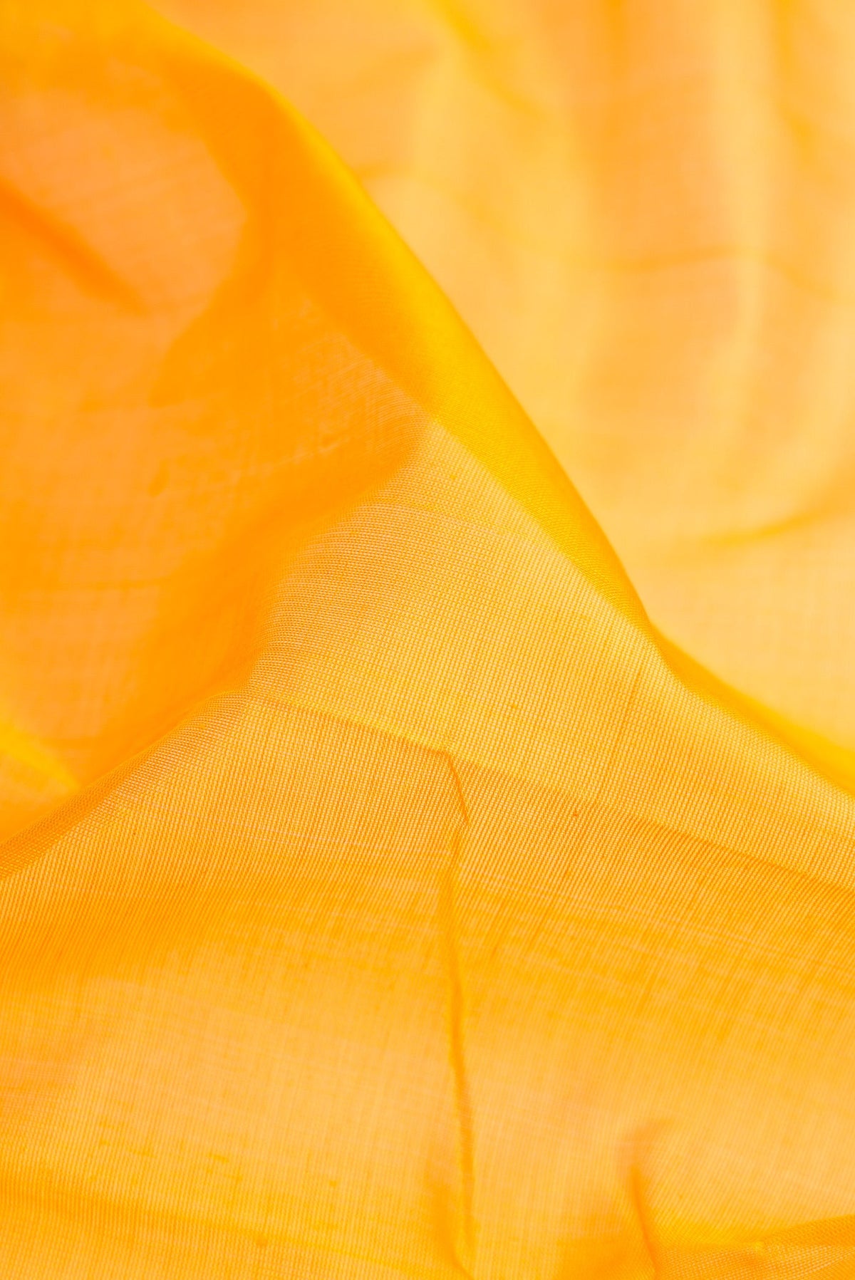 Close up of Yellow Dual Tone Silk Cotton Saree with Plain Body and Zari Border.  displaying folds