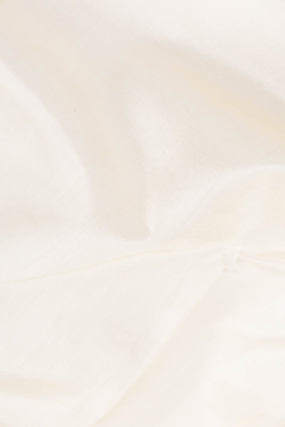 Close up of Off White Silk Cotton Saree with Plain Body and Zari Border.  displaying folds