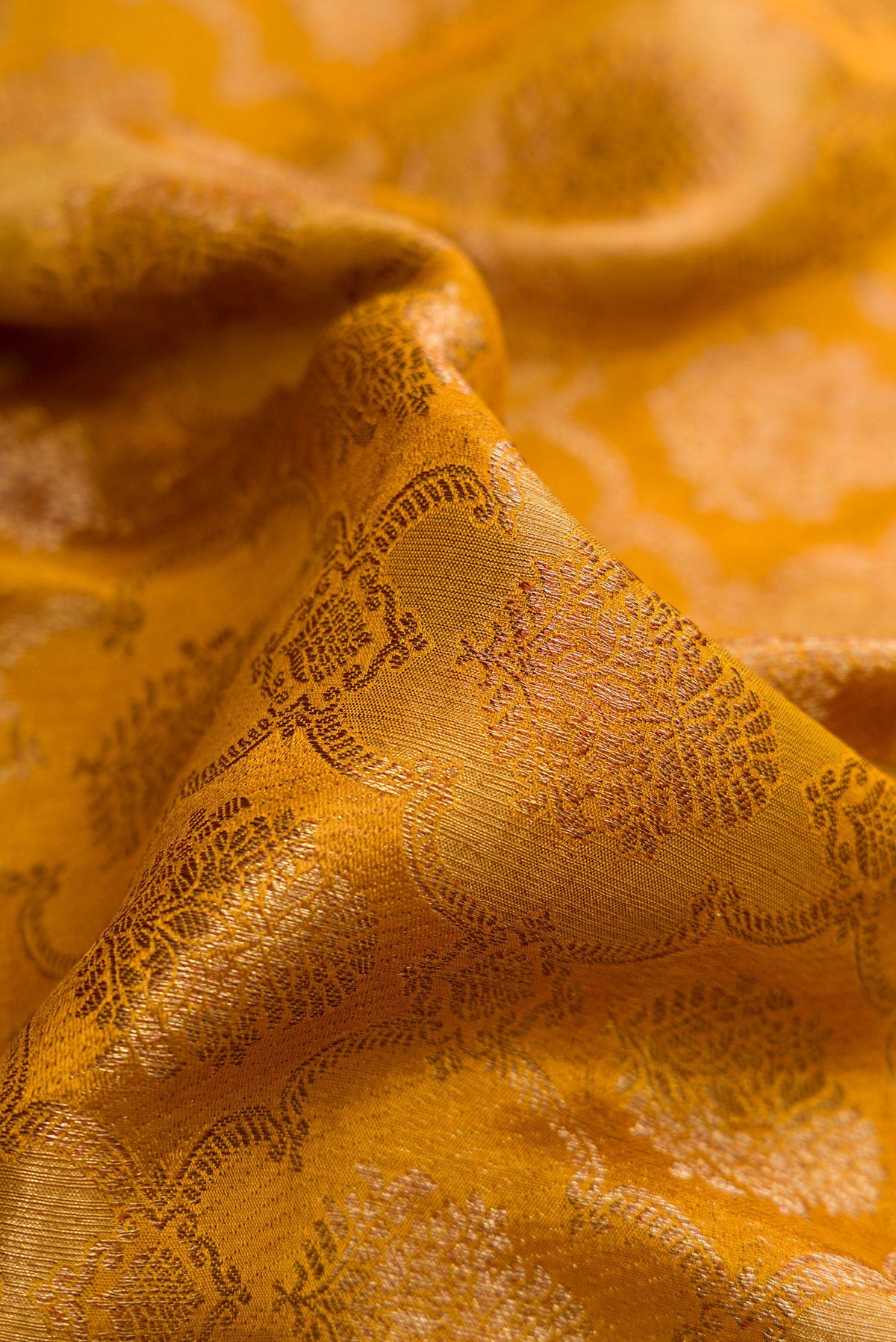 Close up of Mustard Mysore Crepe Saree with Zari Brocade on the body and Zari Border.  displaying folds