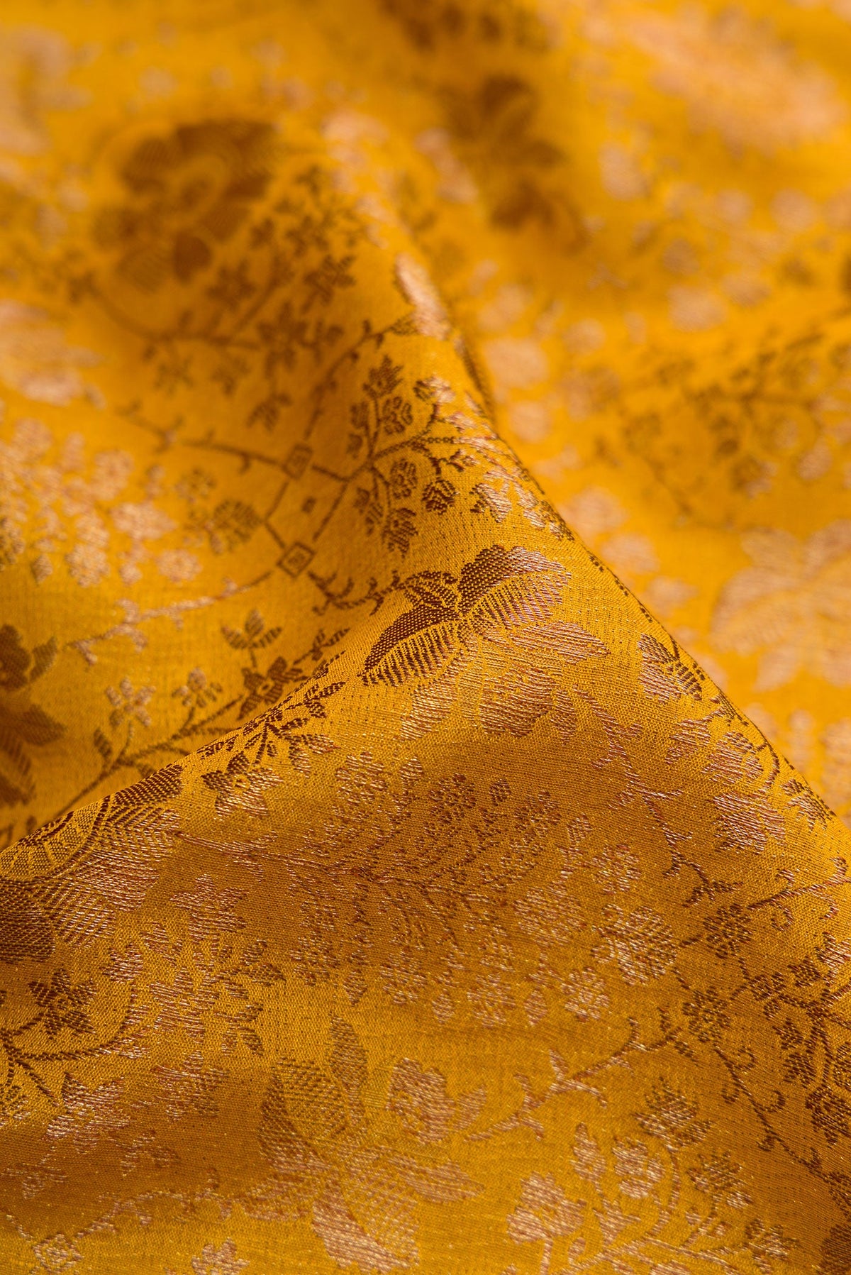 Close up of Mustard Mysore Crepe Saree with Zari Brocade on the body and Zari Border.  displaying folds