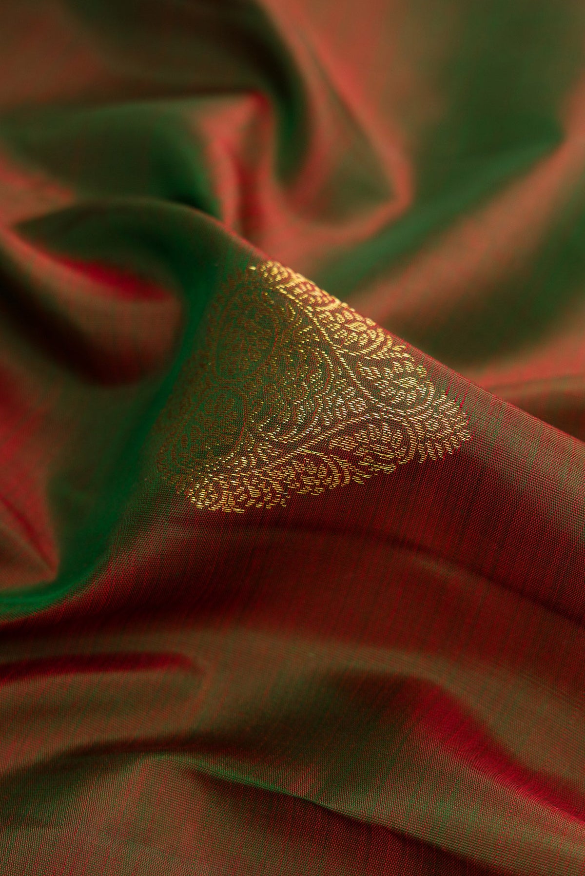 Close up of Mehandi Green Dual Tone Kanjivaram Silk Saree with Zari Butta on the body and Zari Border.  displaying folds