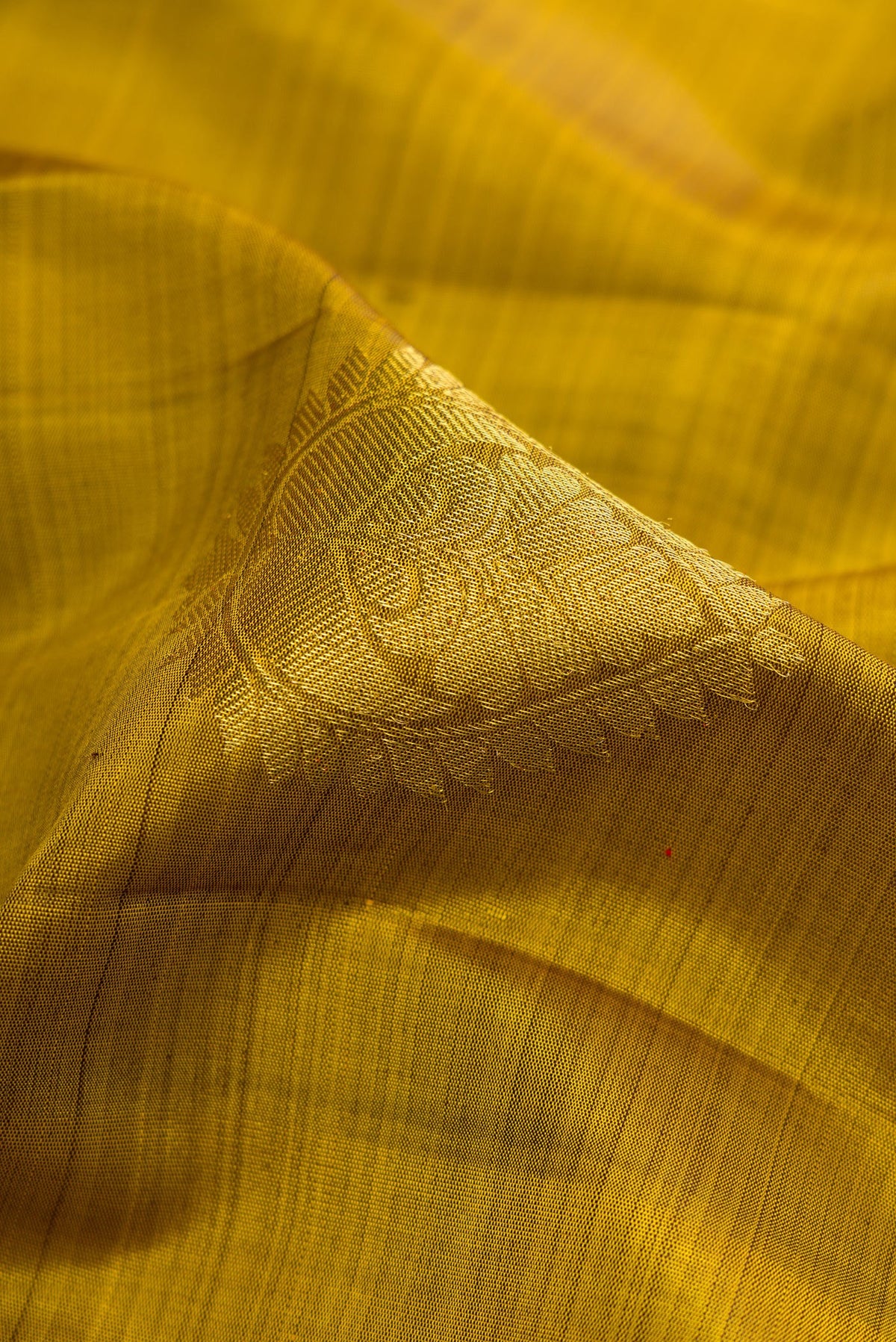 Close up of Mehandi Green Dual Tone Kanjivaram Silk Saree with Zari Butta on the body and Zari Border.  displaying folds