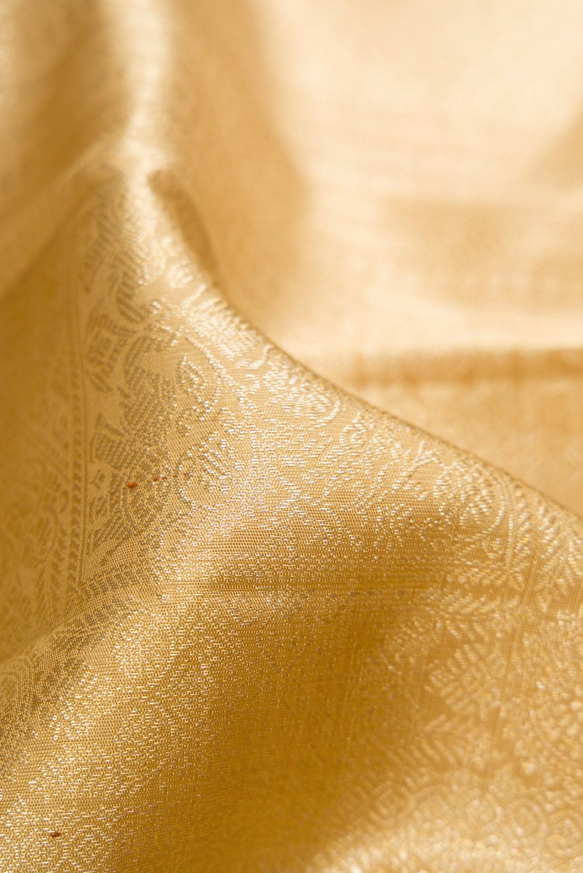 Close up of Dark Beige Dual Tone Kanchipuram Silk Saree with Zari Brocade on the body and Zari Border.  displaying folds
