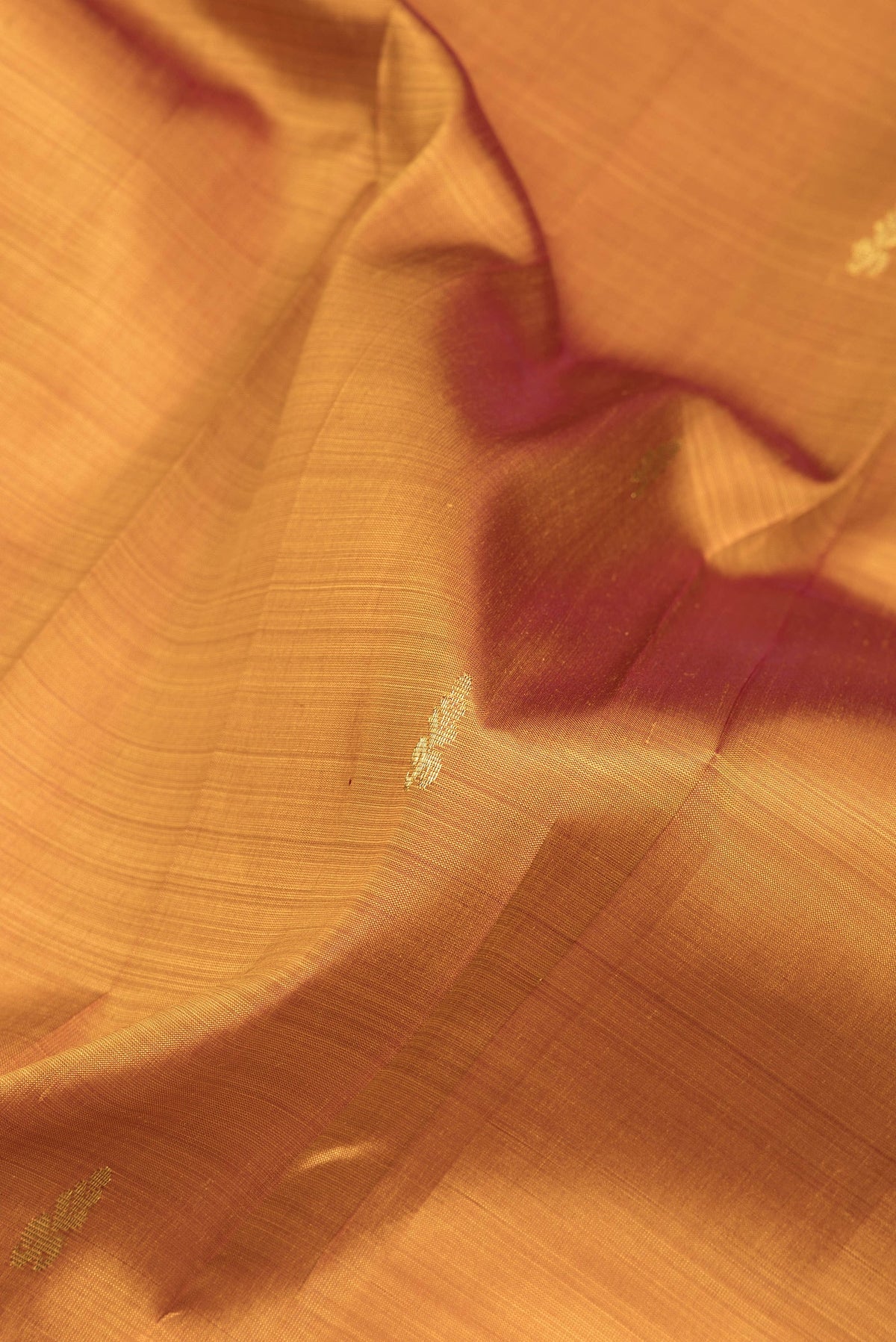 Close up of Gold Dual Tone Kanjivaram Silk Saree with Zari Butta on the body and One Side Border.  displaying folds