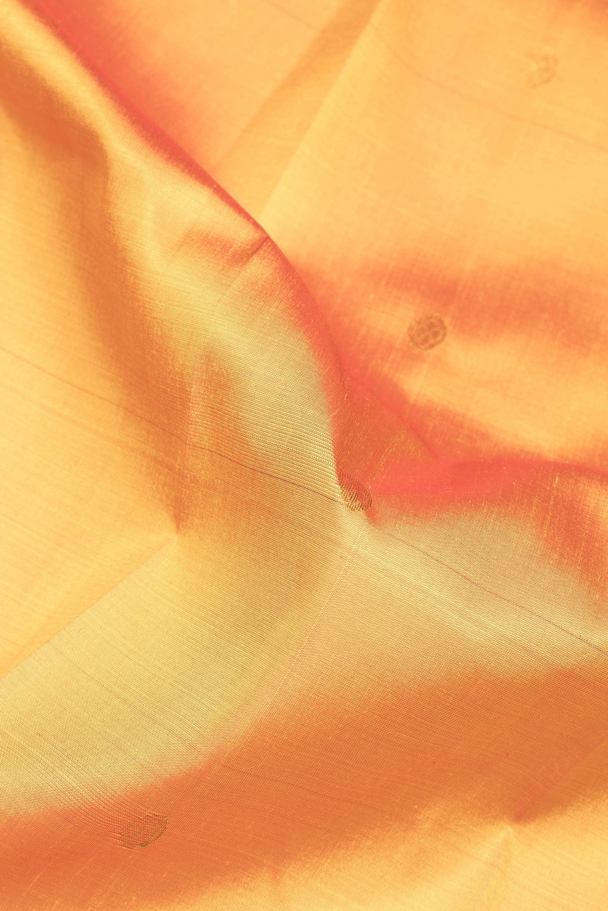 Close up of Mustard Dual Tone Kanchipuram Silk Saree with Zari Butta on the body and One Side Border.  displaying folds