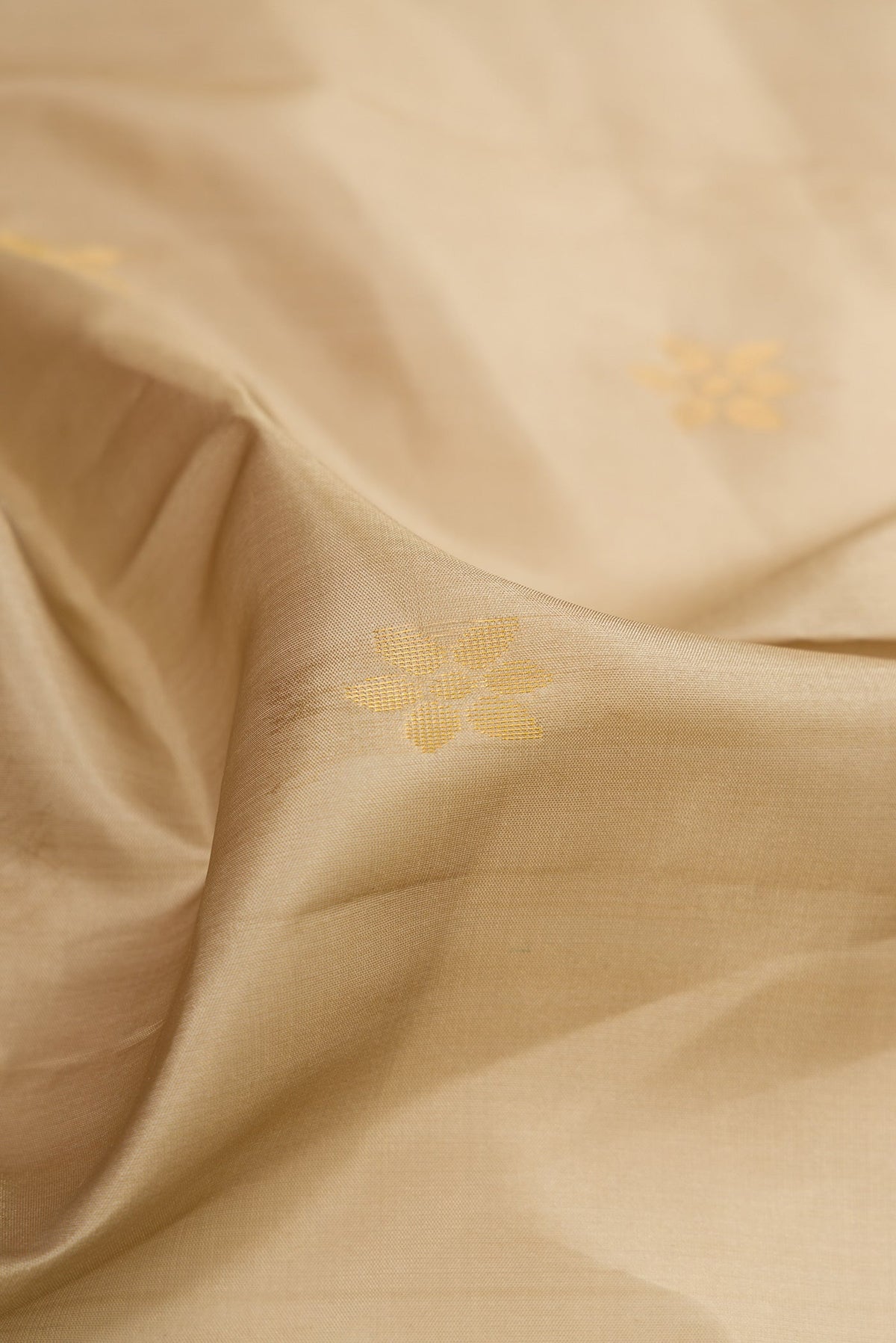 Close up of Beige Soft Silk Saree with Zari Butta on the body and Fancy Border.  displaying folds