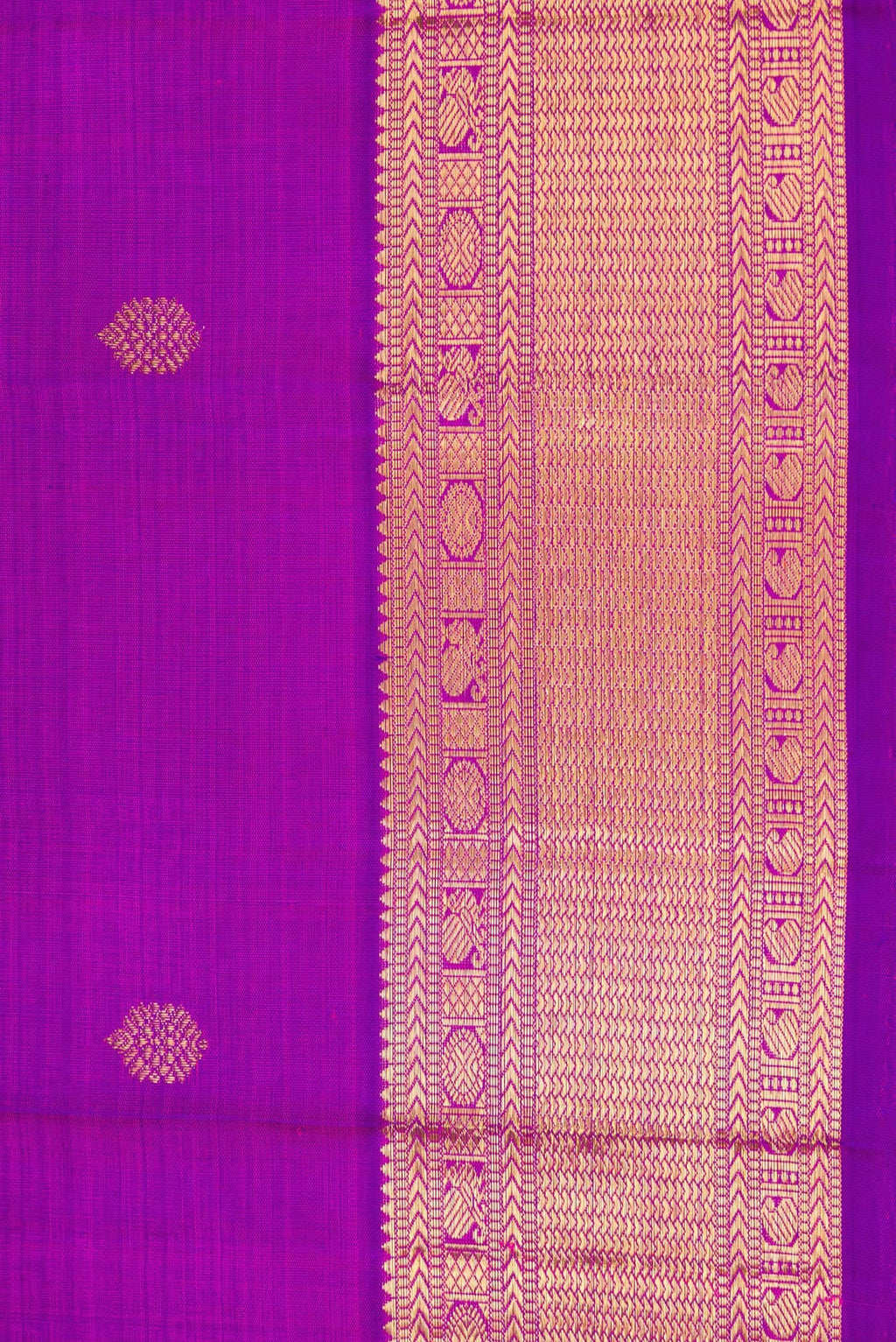 Border image of Pure Silk Pure Zari Magenta Dual Tone Kanjivaram Saree with Zari Butta on the body and Zari Border. 