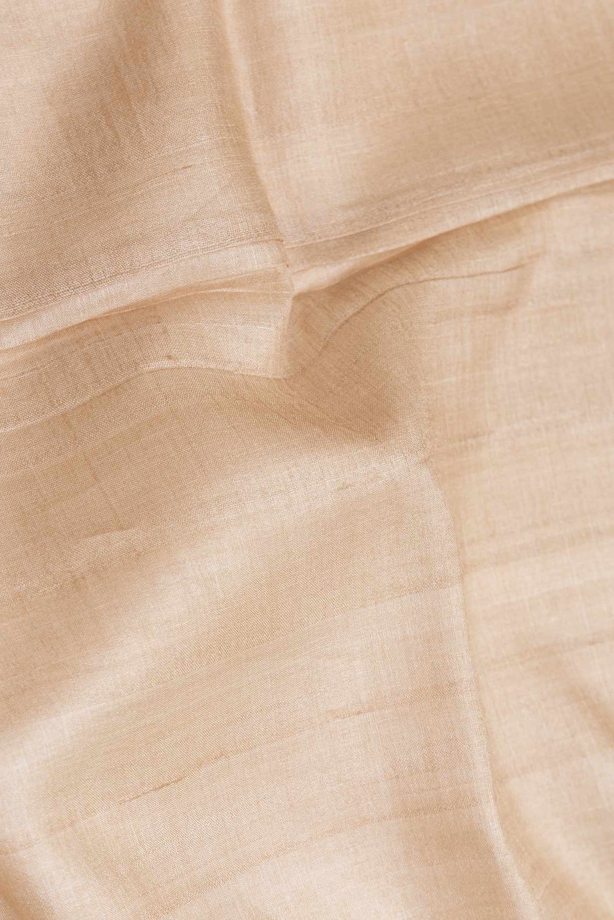Close up of Beige Dual Tone Tussar Saree with Plain Body and Printed Border.  displaying folds