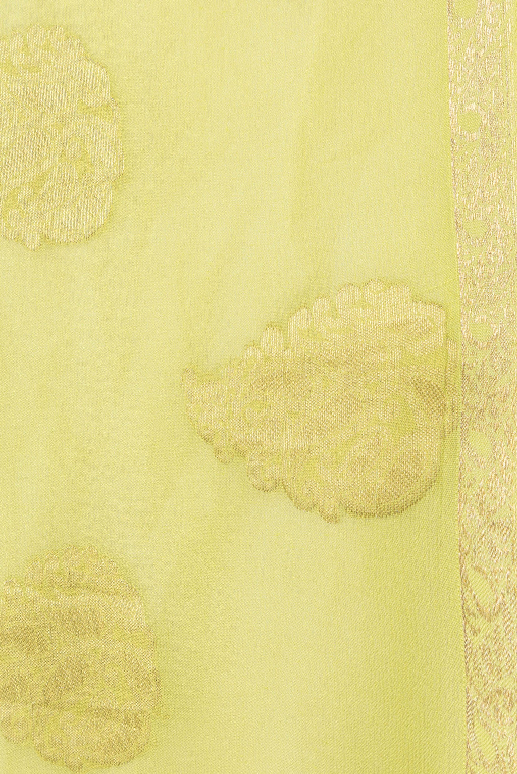 Border image of Parrot Green Dual Tone Mysore Georgette Saree with Zari Butta on the body and Zari Border. 