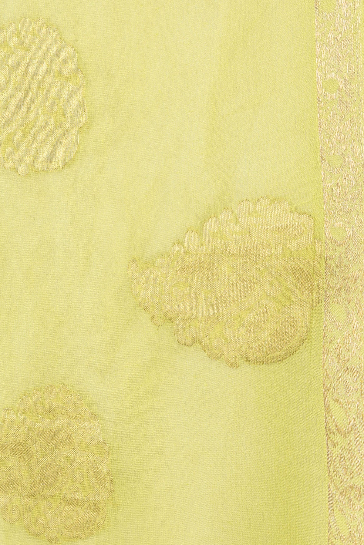Border image of Parrot Green Dual Tone Mysore Georgette Saree with Zari Butta on the body and Zari Border. 