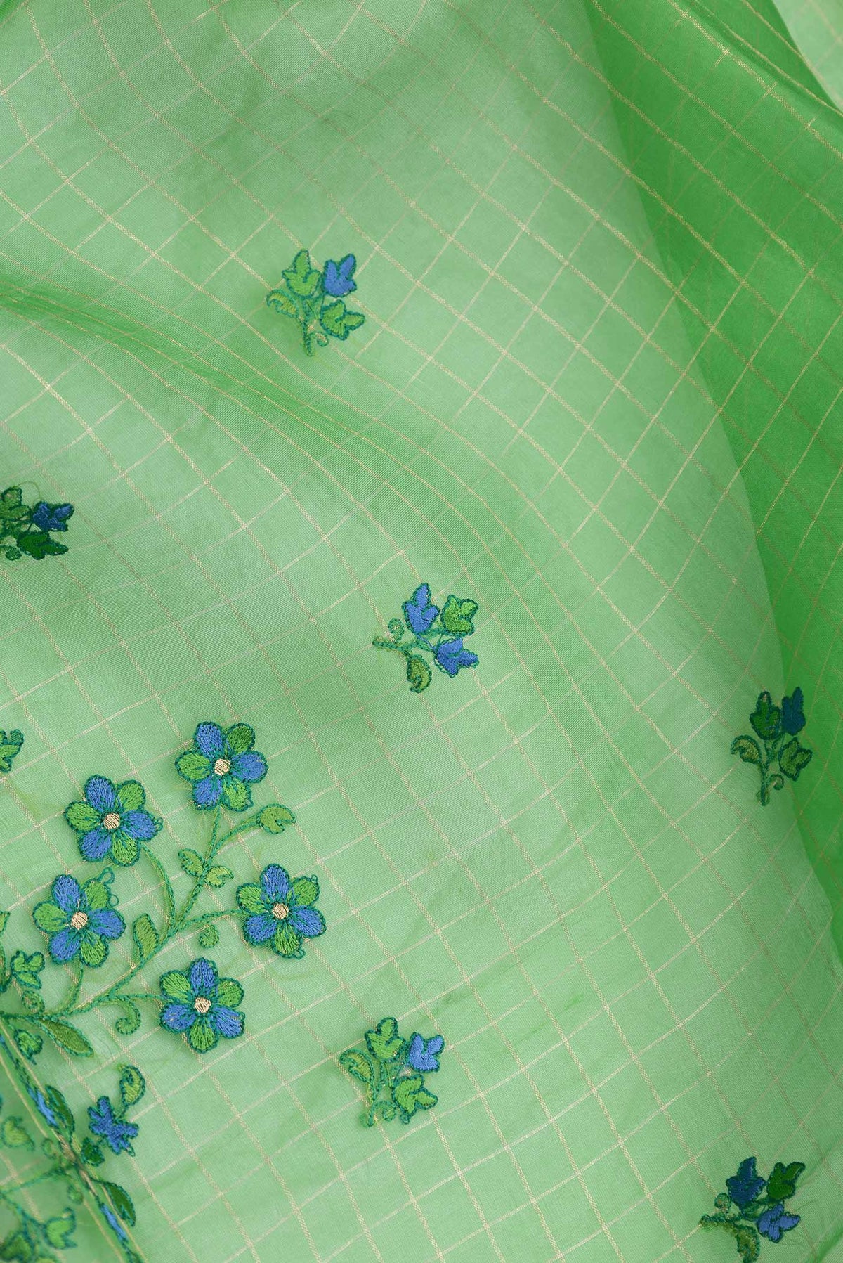 Close up of Light Green Dual Tone Organza Silk Saree with Embroidery on the body and Zari Border.  displaying folds