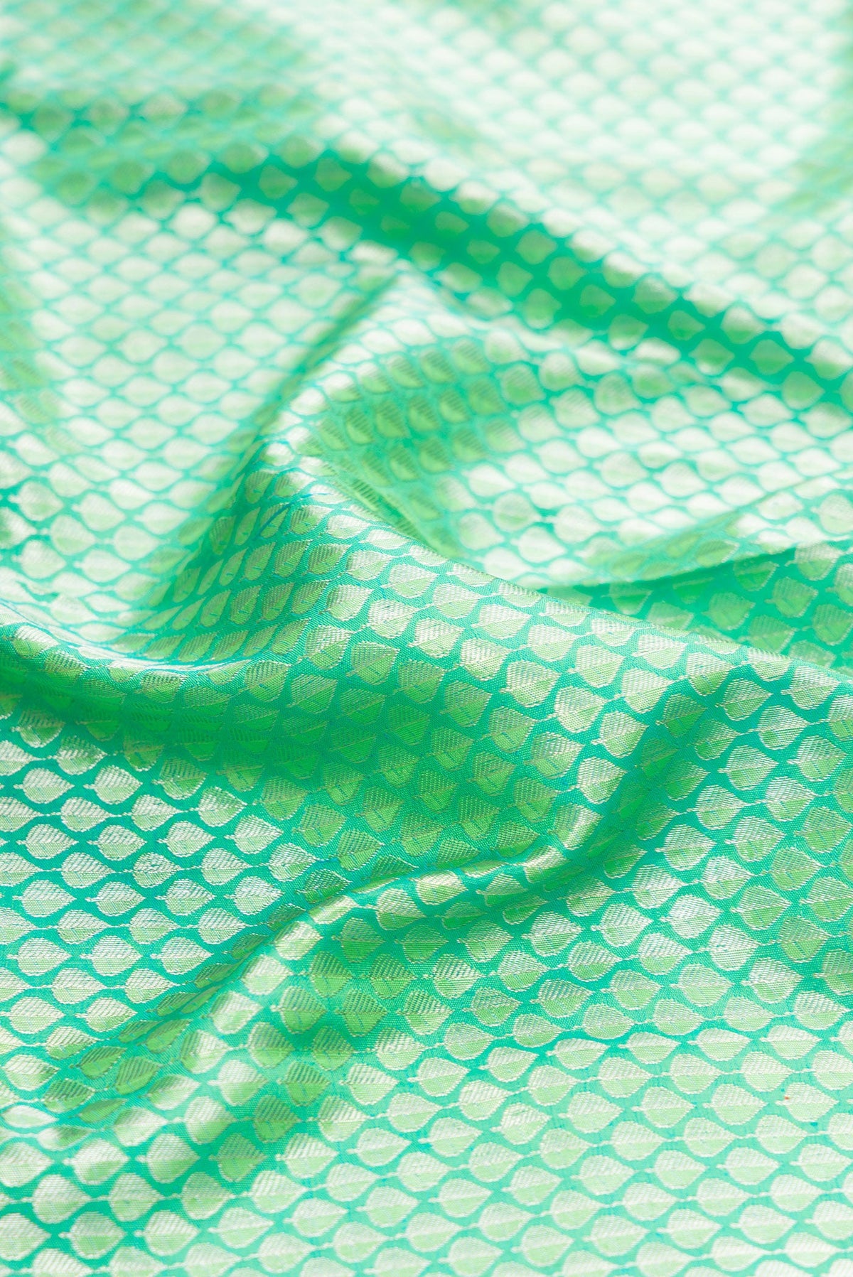 Close up of Sea Green Dual Tone Kanchipuram Silk Saree with Zari Brocade on the body and Zari Border.  displaying folds