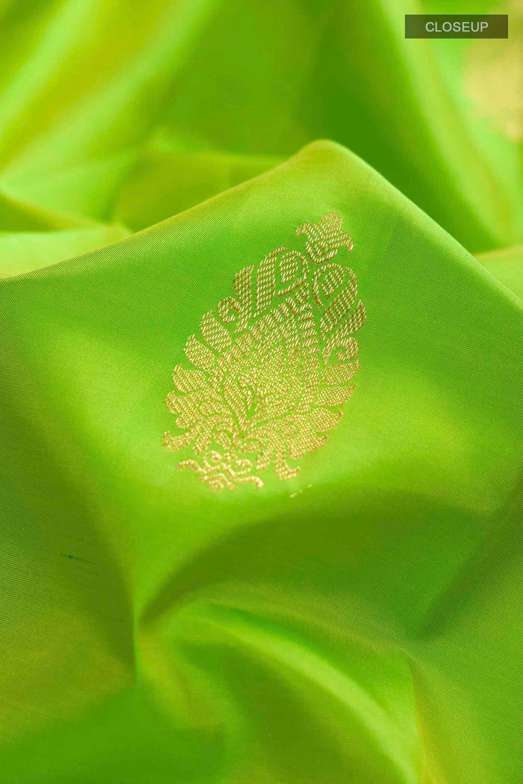 Close up of Green Kanchipuram Silk Saree with Zari Butta on the body and Zari Border displaying folds