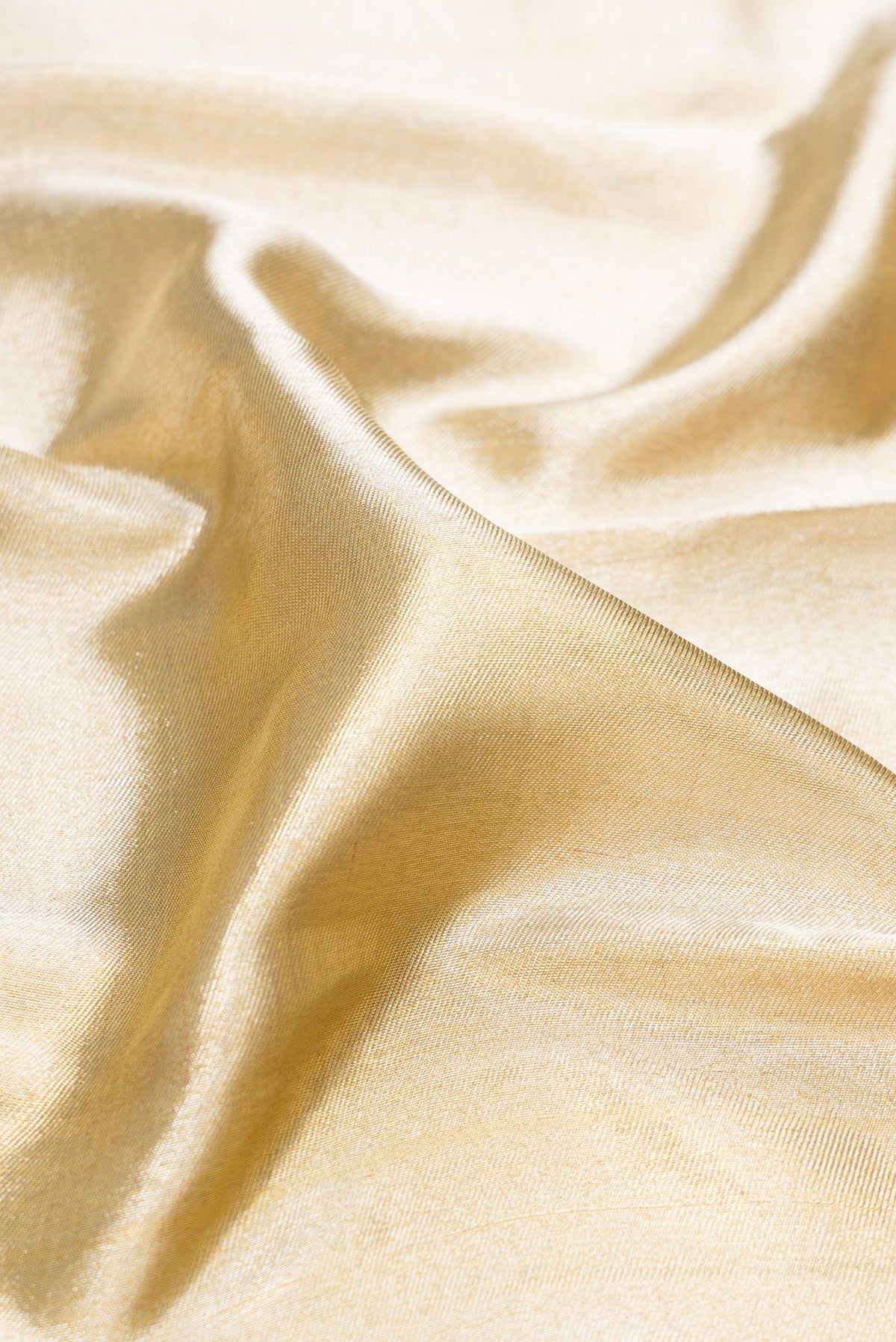 Close up of Gold Dual Tone Kanjivaram Tissue Silk Saree with Zari Brocade on the body and Zari Border.  displaying folds