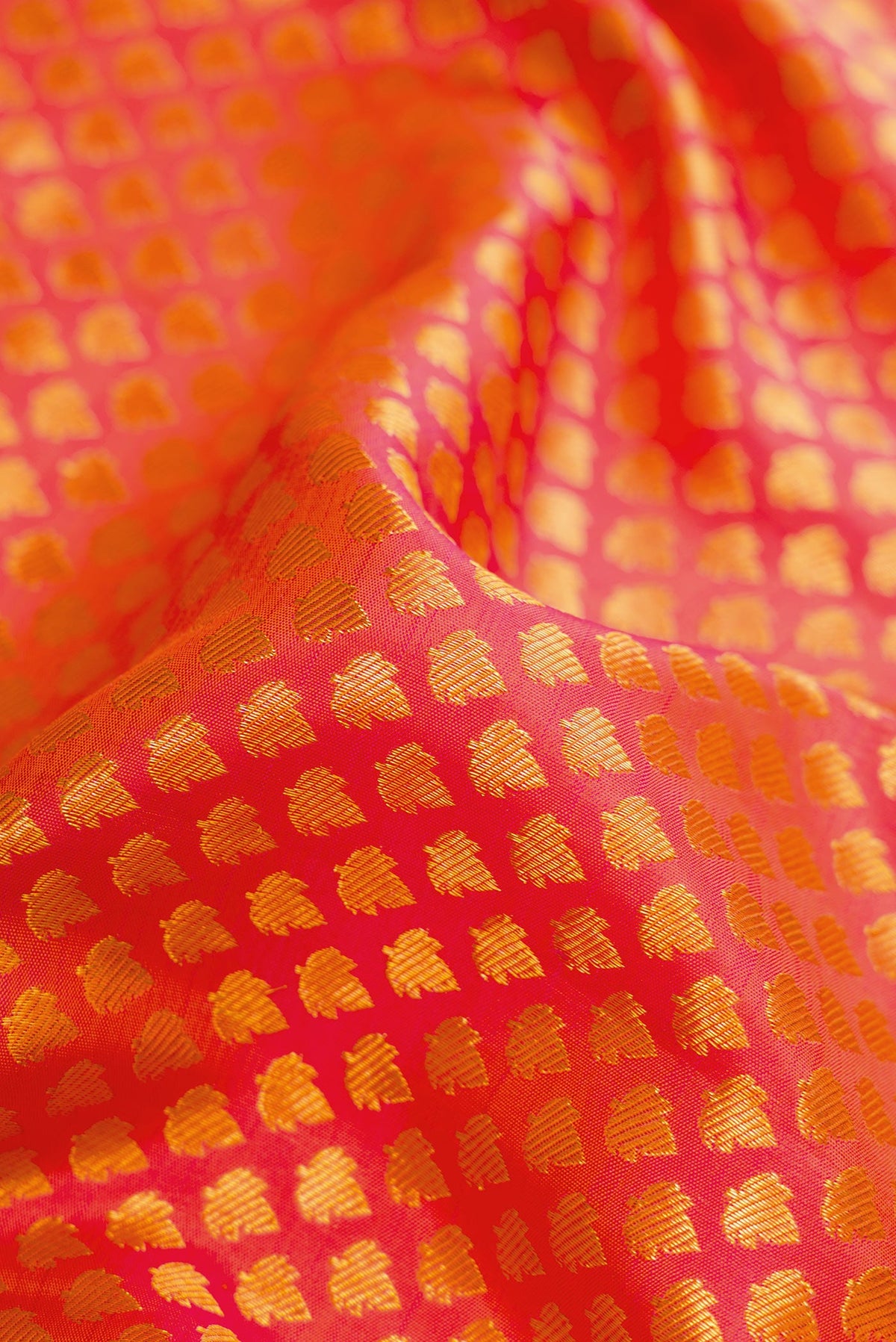 Close up of Orange Kanjivaram Silk Saree with Zari Brocade on the body and Zari Border.  displaying folds