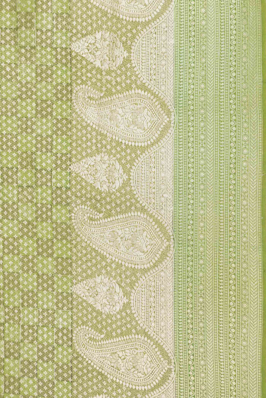 Border image of Green Dual Tone Mysore Georgette Saree With Printed design on the body and Zari Border