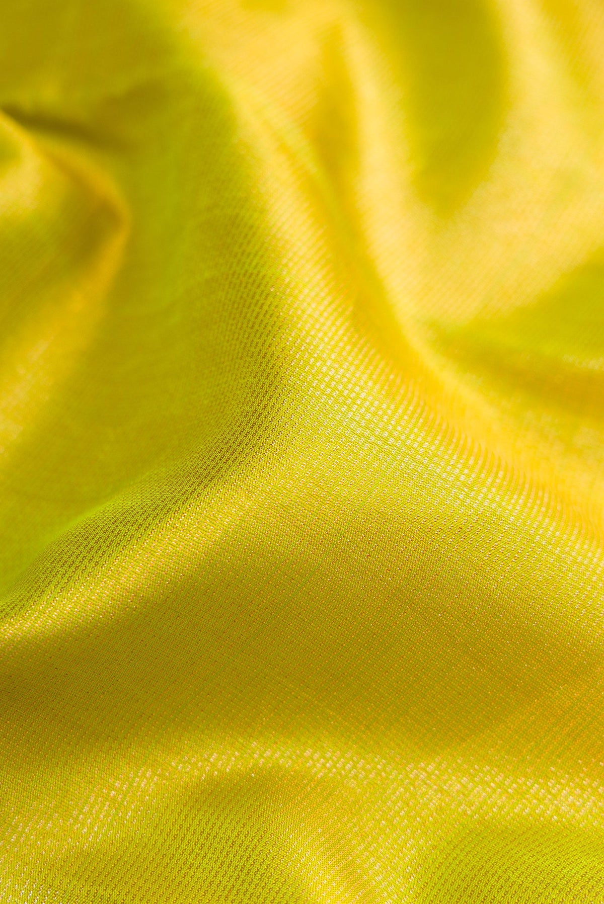 Close up of Parrot Green Dual Tone Kanjivaram Silk Saree with Zari Brocade on the body and Zari Border.  displaying folds