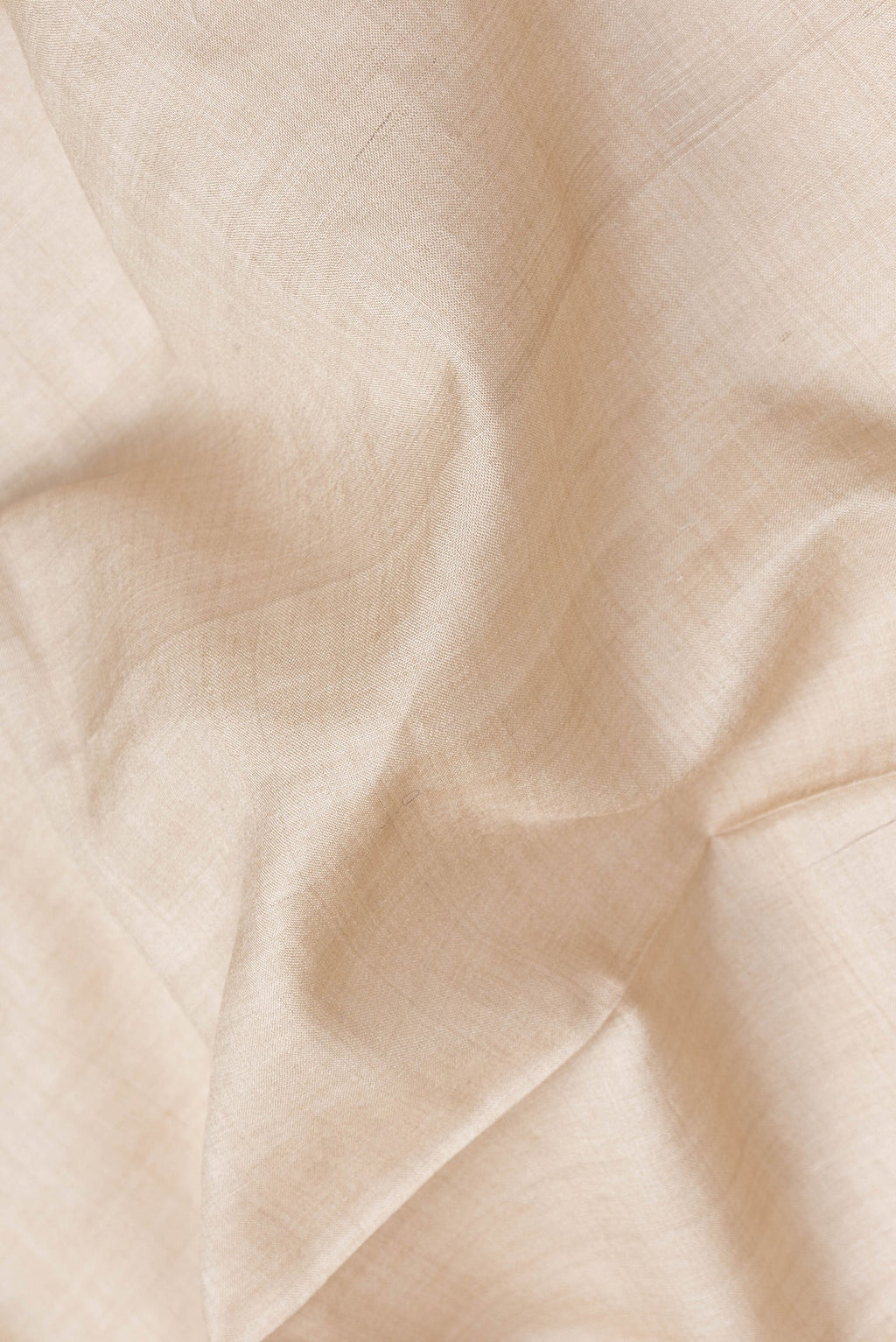 Close up of Beige Dual Tone Tussar Silk Saree with Plain Body and Embroidery Border.  displaying folds