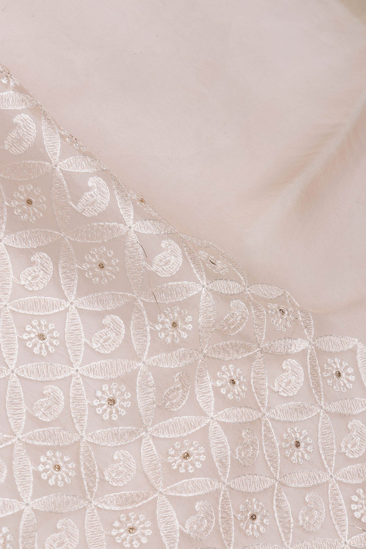 Close up of Golden Peach Dual Tone Organza Silk Saree with Embroidery on the body and Embroidery Border.  displaying folds