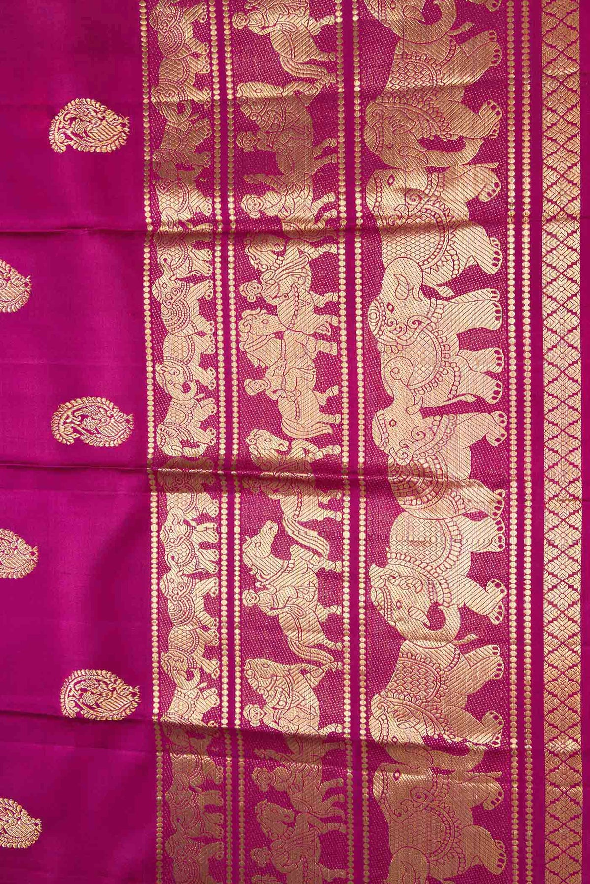 Border image of Magenta Dual Tone Kanchipuram Silk Saree with Zari Butta on the body and Fancy Border