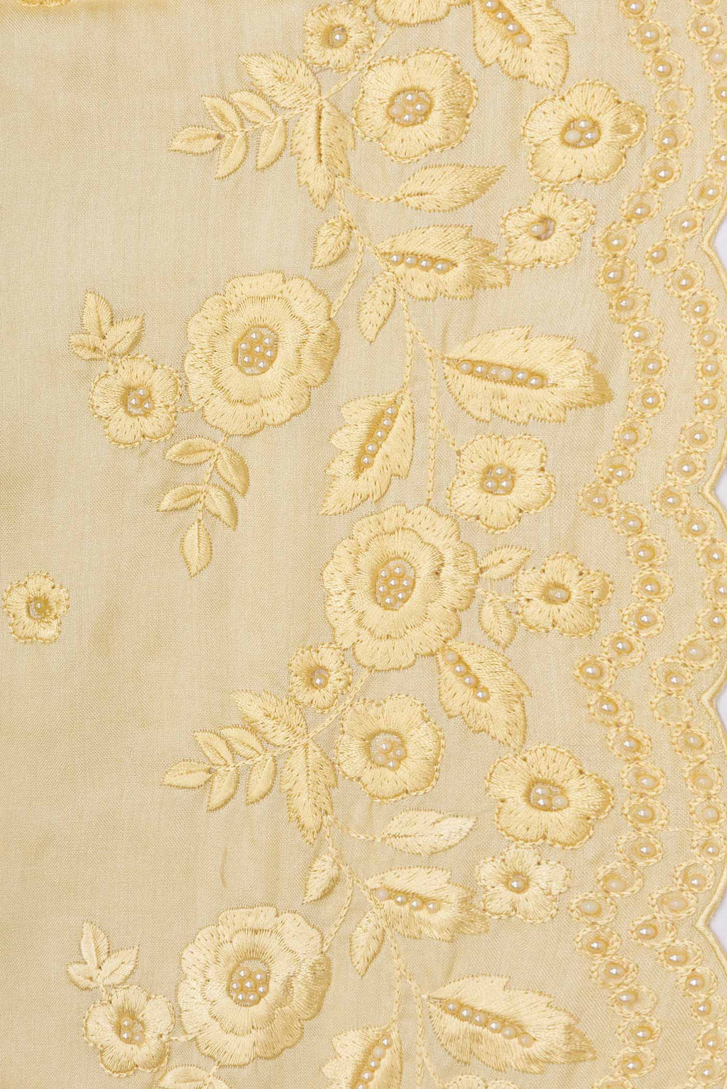 Border image of Sandal Dual Tone Tussar Saree with Embroidery on the body and Embroidery Border