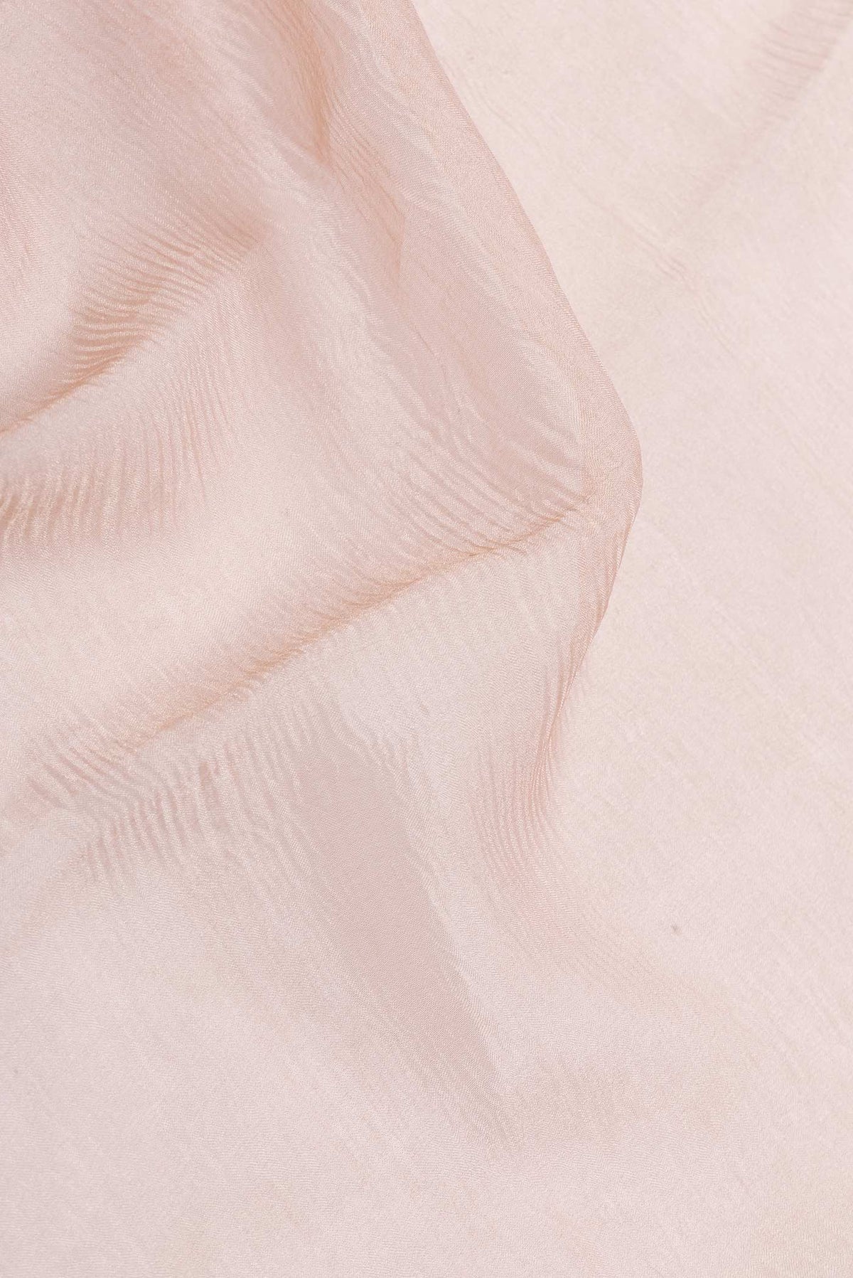 Close up of Golden Peach Tissue Silk Saree with Plain Body and Embroidery Border displaying folds