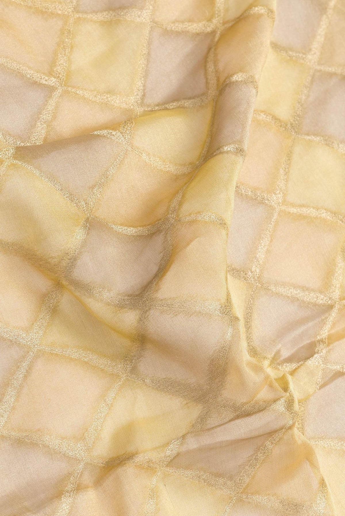 Close up of Gold Dual Tone Mysore Georgette Saree with Zari Brocade on the body and Zari Border.  displaying folds