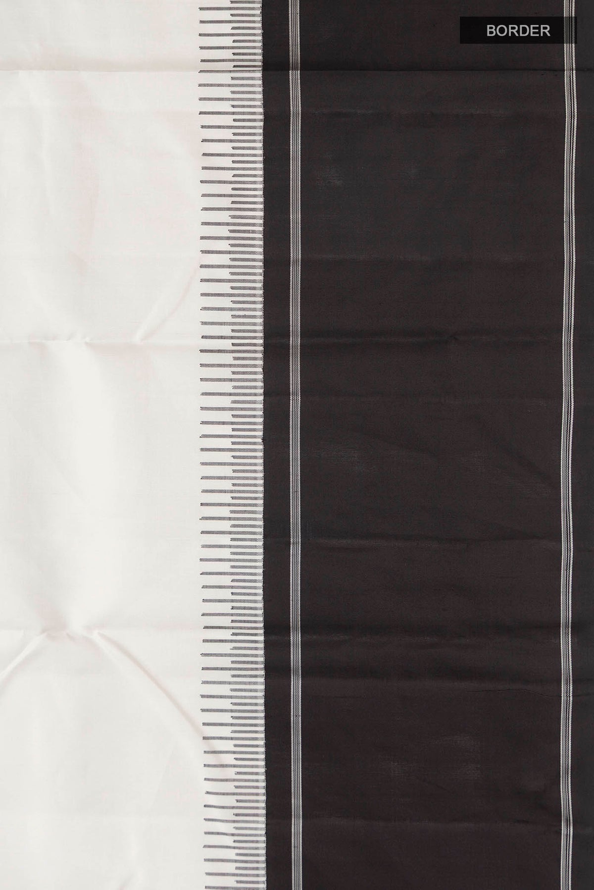 Border image of White Kanchipuram Silk Saree with Plain Body and Plain Border