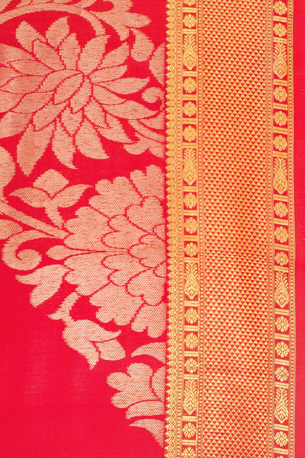 Border image of Coral Dual Tone Kanchipuram Silk Saree with Zari Brocade on the body and Zari Border. 