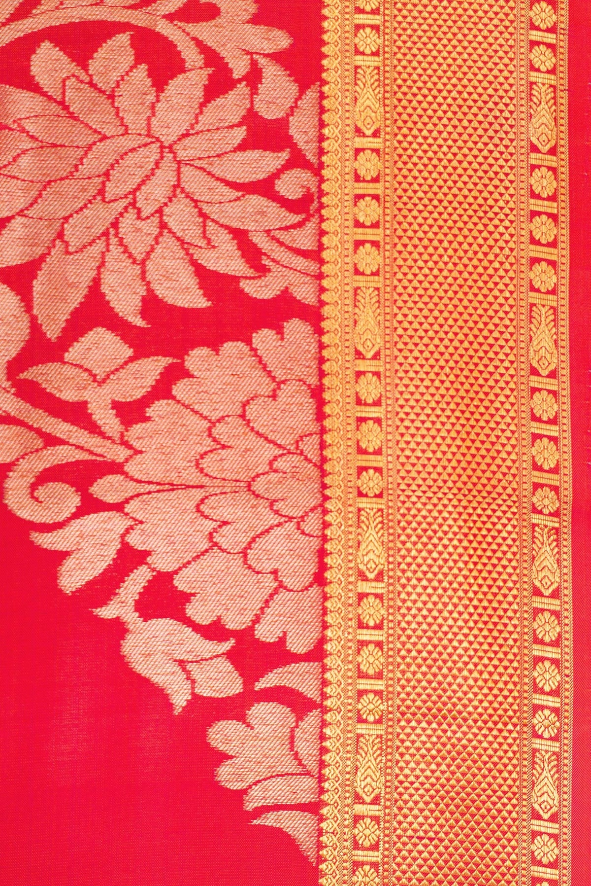 Border image of Coral Dual Tone Kanchipuram Silk Saree with Zari Brocade on the body and Zari Border. 
